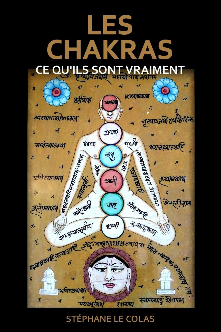LES CHAKRAS : CE QU’ILS SONT VRAIMENT: Une explication brève mais concrète grâce aux apports de la science, du Tantra et de la psychologie moderne. (Cours de Praticien en Ayurvéda) Health, Nutrition & Fitness