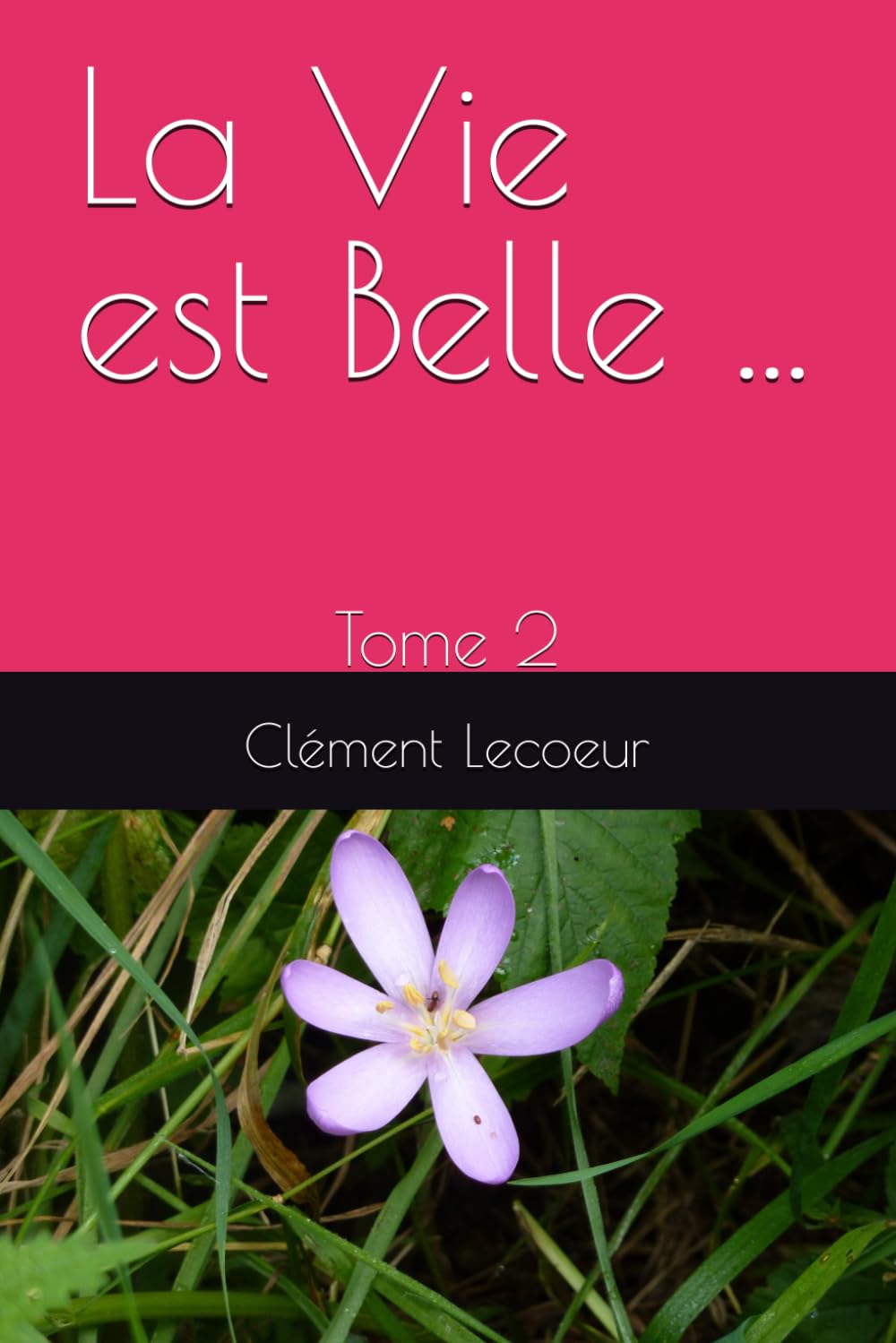 La Vie est Belle ...: Tome 2 book