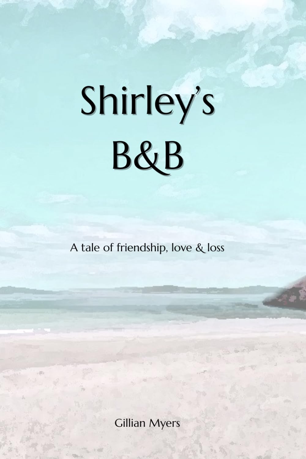 Shirley's B&B: A tale of friendship, love & loss Contemporary literature