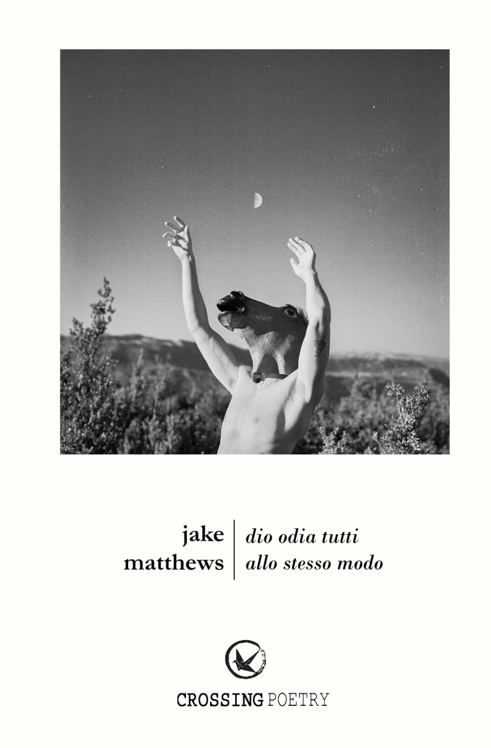 Dio Odia Tutti Allo Stesso Modo book