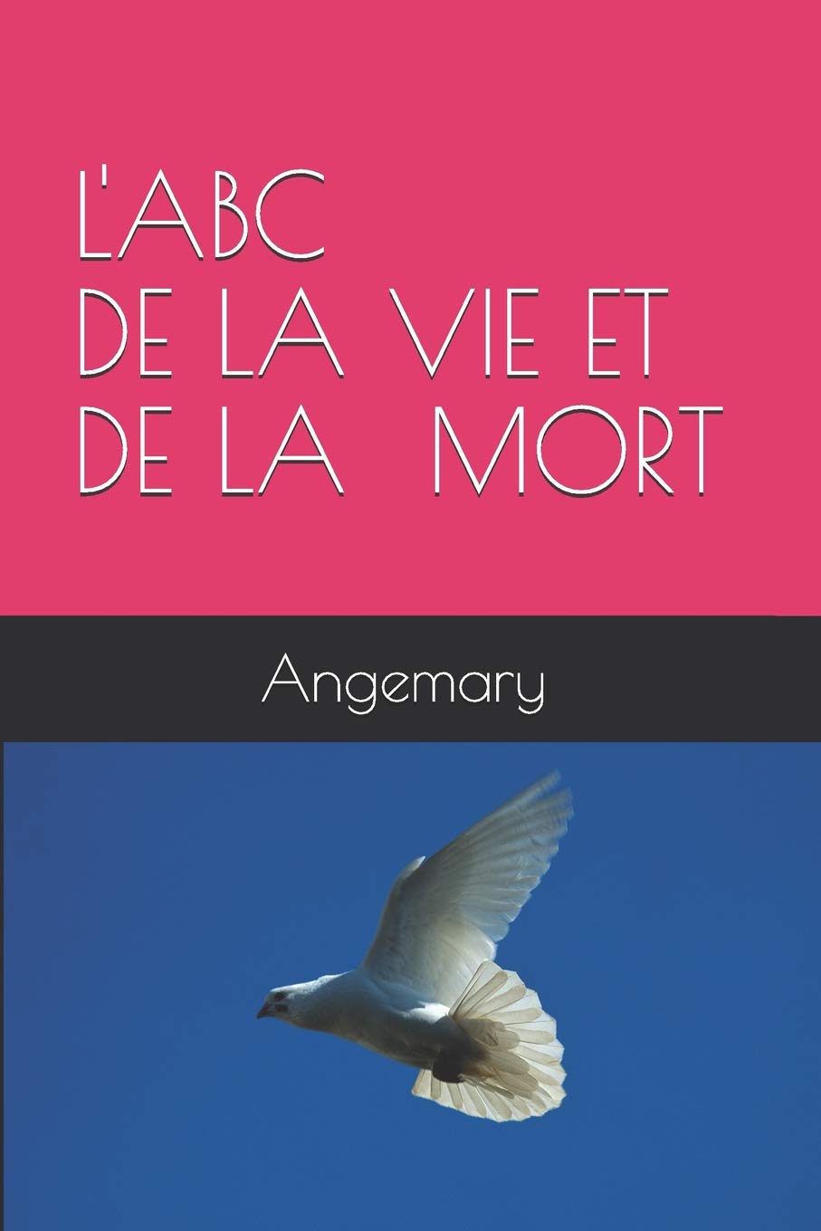 L'ABC DE LA VIE ET LA MORT Social Sciences