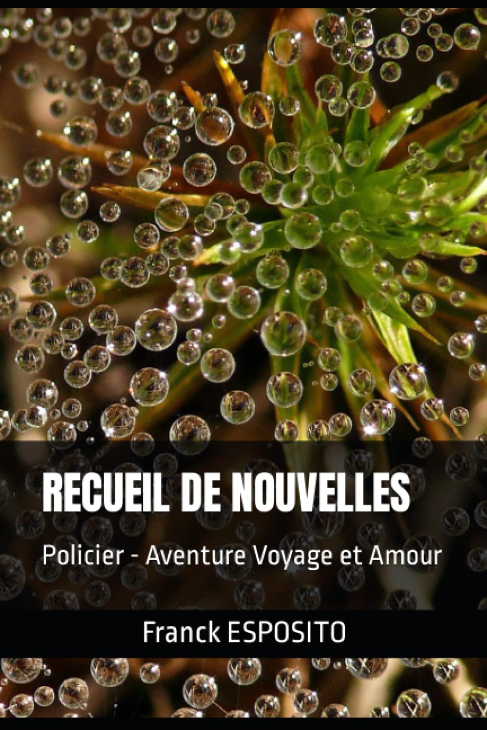 RECUEIL DE NOUVELLES: Policier - Aventure Voyage et Amour Essays & Short Stories