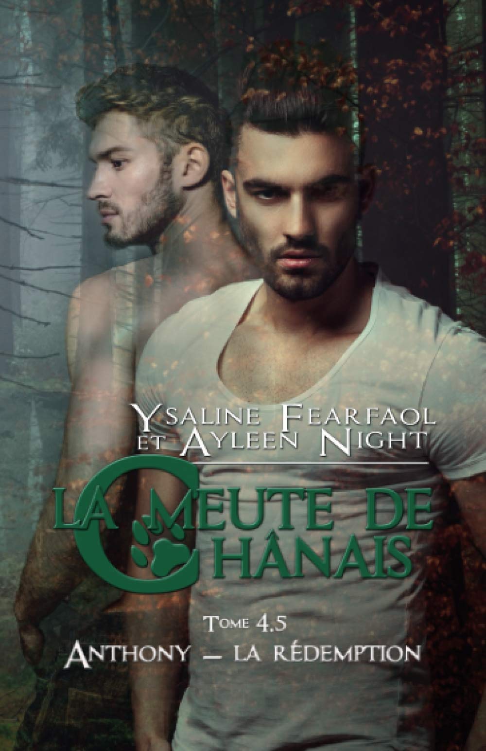 La meute de Chânais tome 4.5: Anthony - la rédemption book