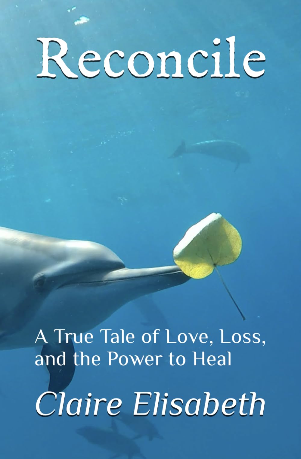 Reconcile: A True Tale of Love, Loss, and the Power to Heal Memories