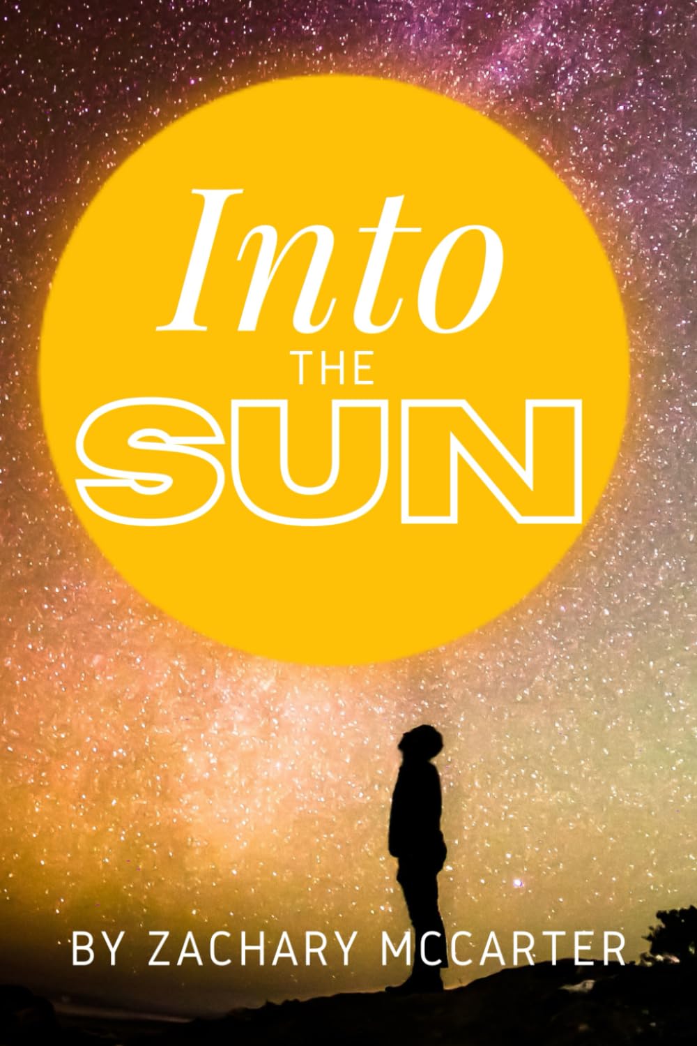 Into The Sun ("Into the..." Series by Zachary McCarter) Action & Adventure
