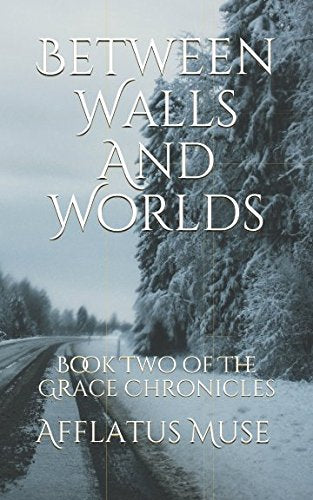 Between Walls And Worlds (The Grace Chronicles, Band 2) Action & Adventure