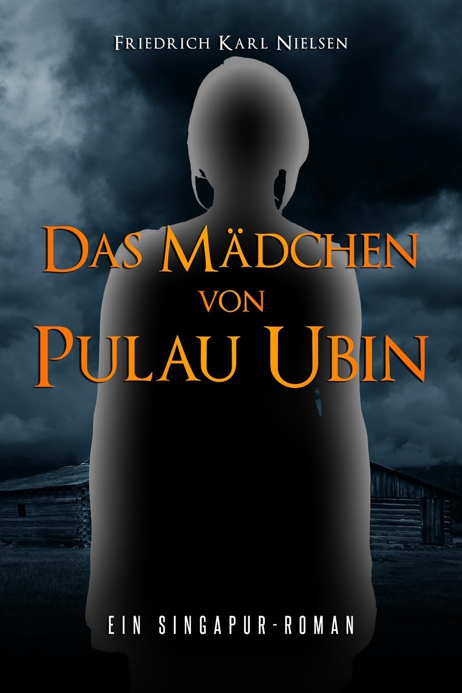 Das Mädchen von Pulau Ubin: ein Singapur-Roman book