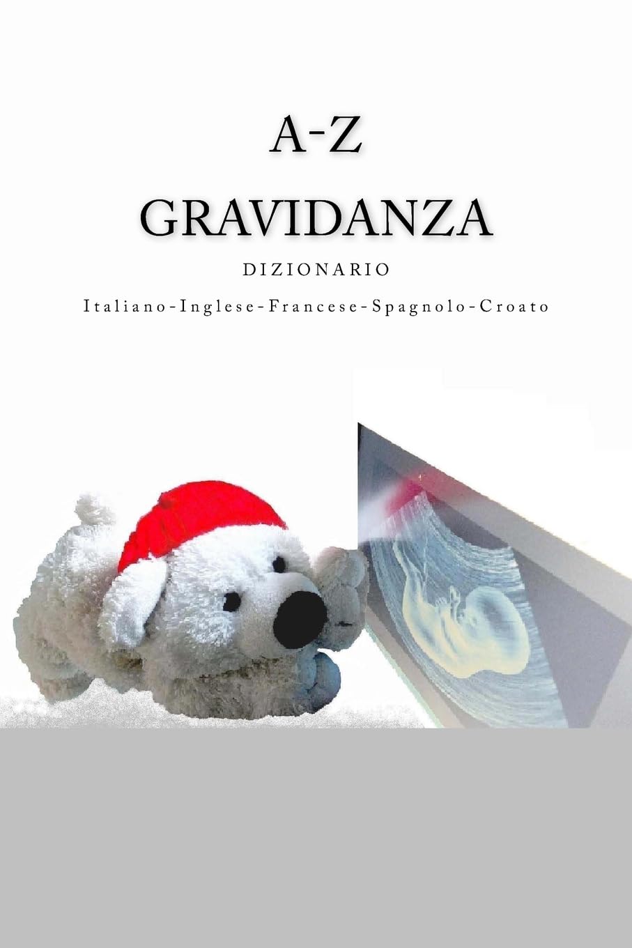 A-Z Gravidanza Dizionario Italiano-Inglese-Francese-Spagnolo-Croato Foreign Languages ​​& Dictionaries