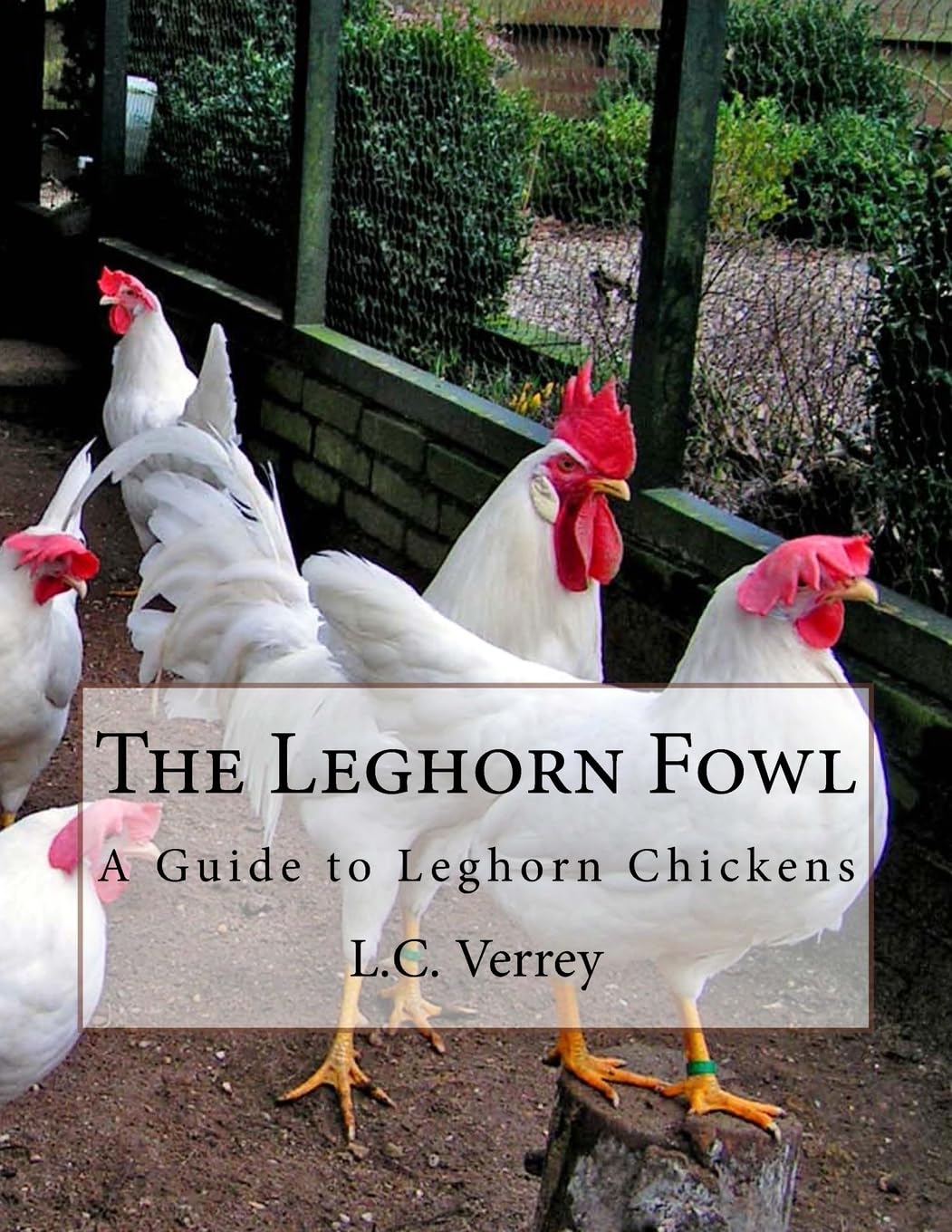 The Leghorn Fowl: A Guide to Leghorn Chickens Natural Sciences