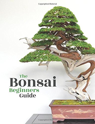 Bonsai: The Beginners Guide Garden & Plants Books