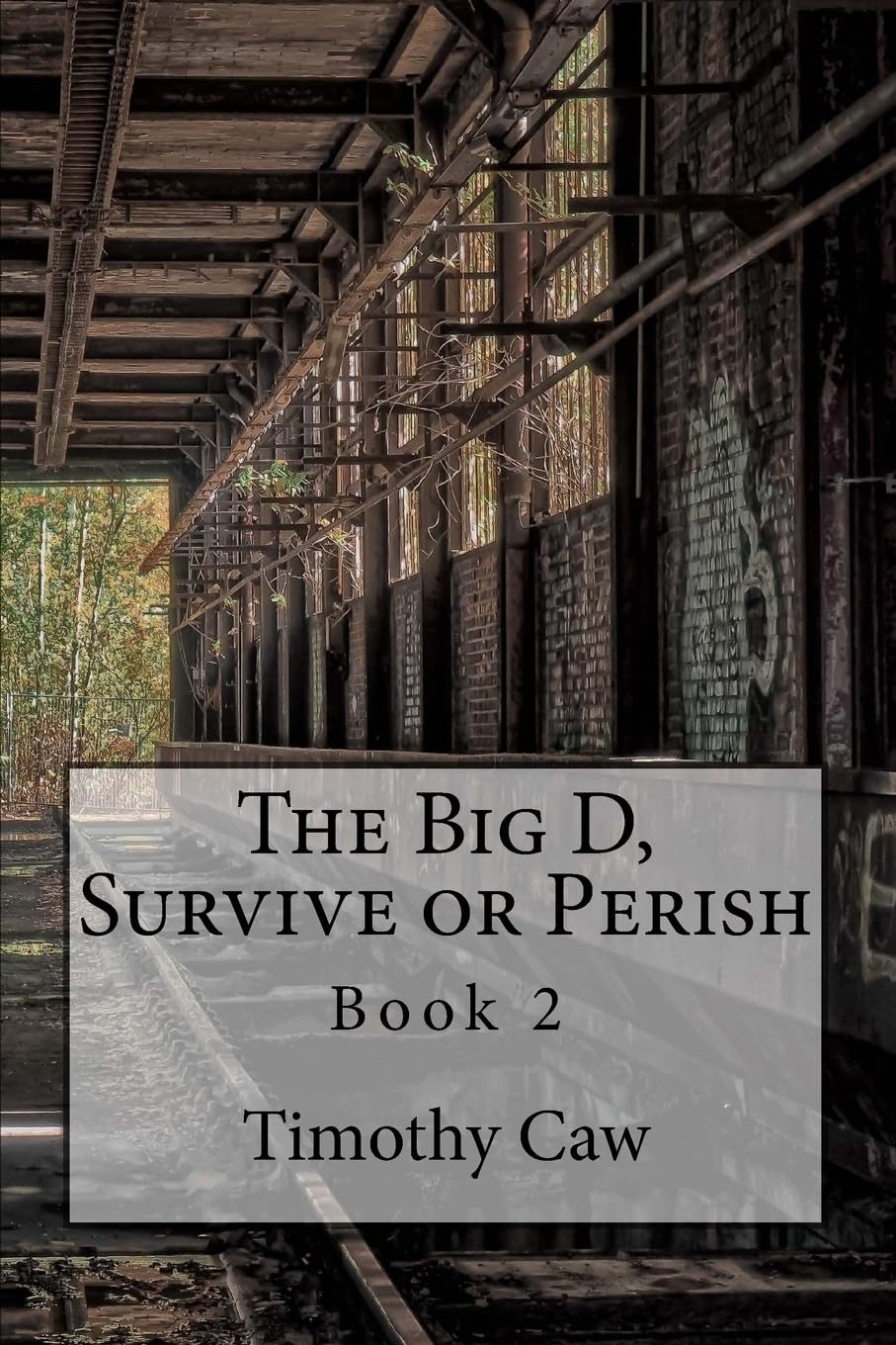 Product Image: The Big D, Survive or Perish: Book 2