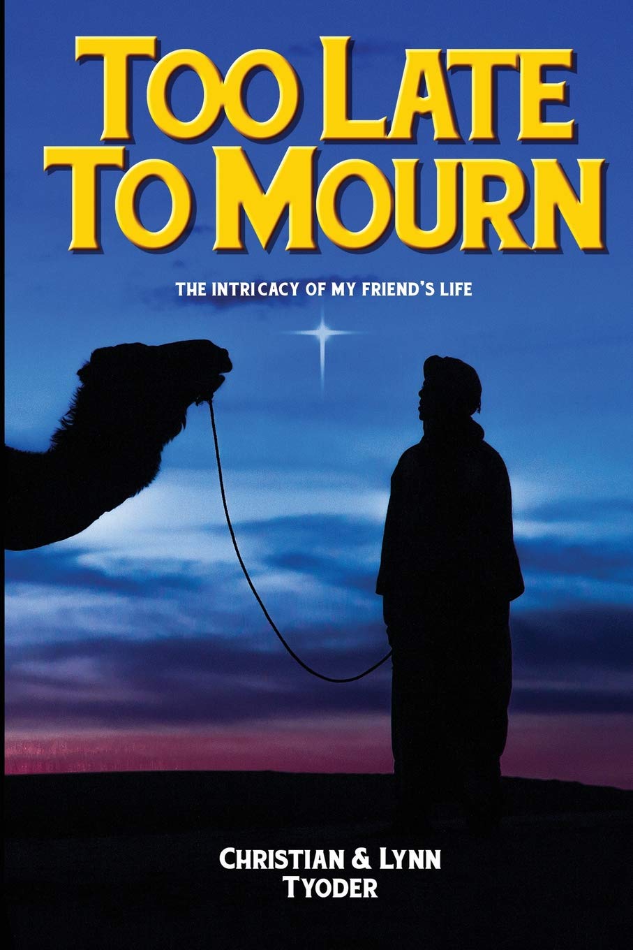 Too Late to Mourn: The Intricacy of My Friend's Life Contemporary literature