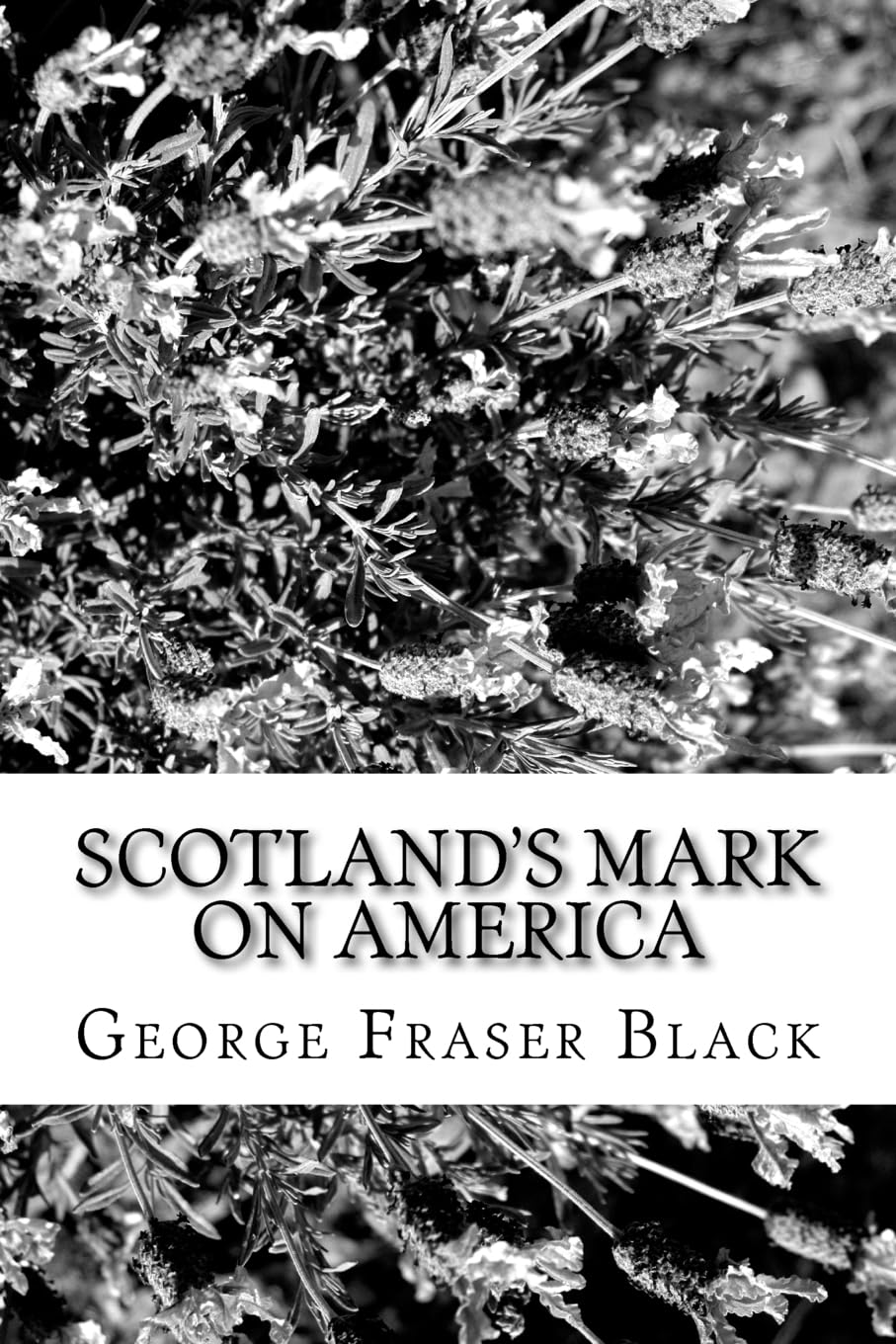 Scotland's Mark on America Social Sciences