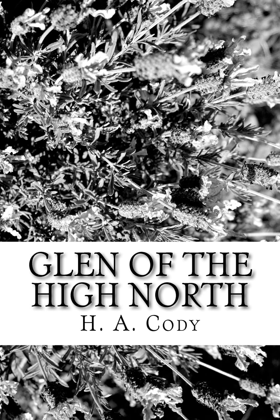 Glen of the High North Historical Fiction