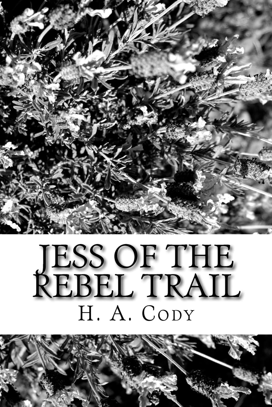 Jess of the Rebel Trail Historical Fiction
