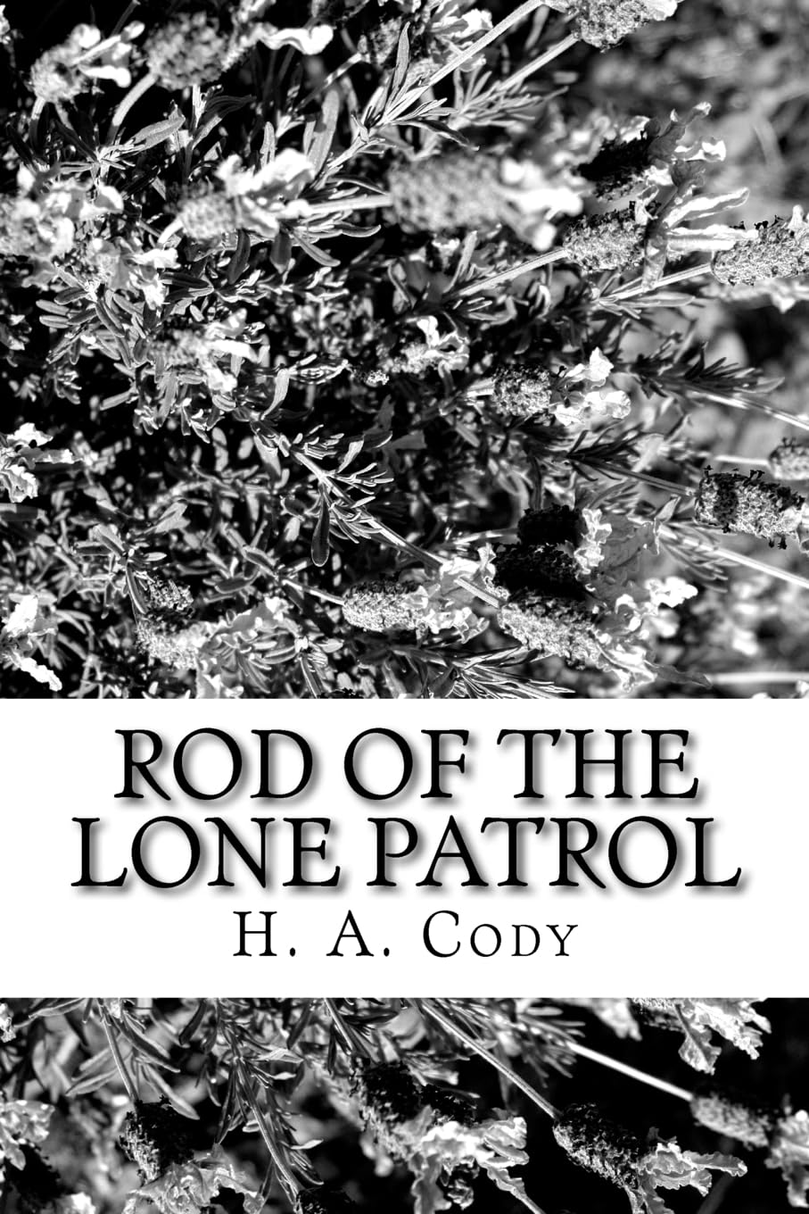 Rod of the Lone Patrol Historical Fiction