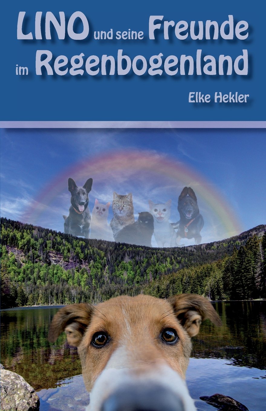 Lino und seine Freunde im Regenbogenland book