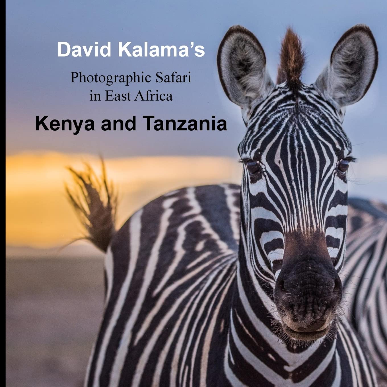 David Kalama's Photographic Safari in East Africa: Kenya and Tanzania Nature & Animals