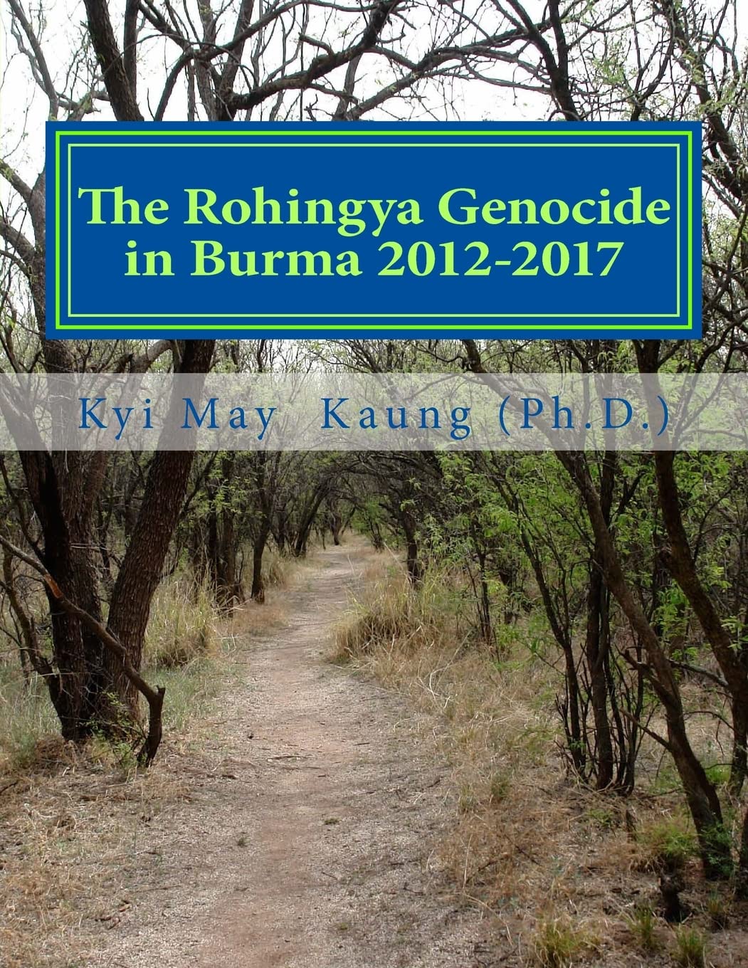 The Rohingya Genocide in Burma 2012-2017: An Actvists' Handy Handbook (Muslims, Band 1) Politics & History