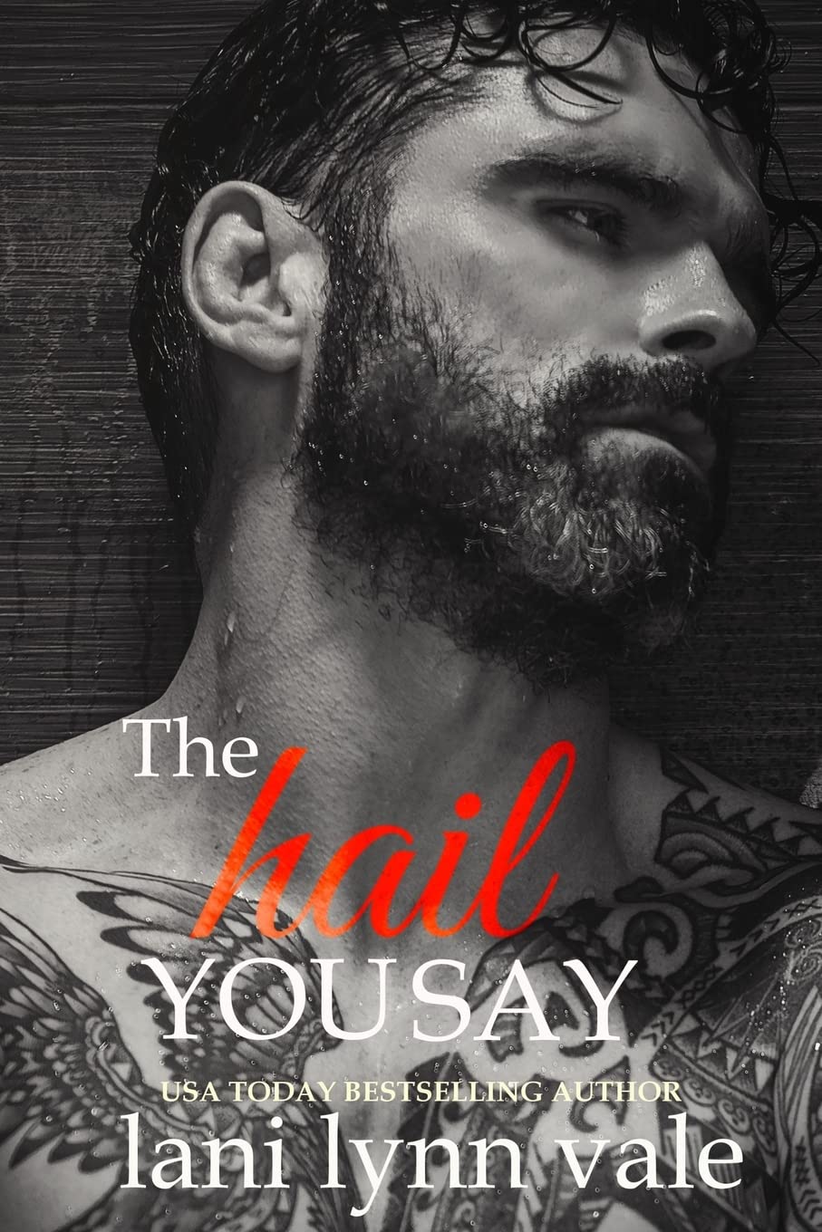 The Hail You Say (The Hail Raisers, Band 5) Romantic Thrillers