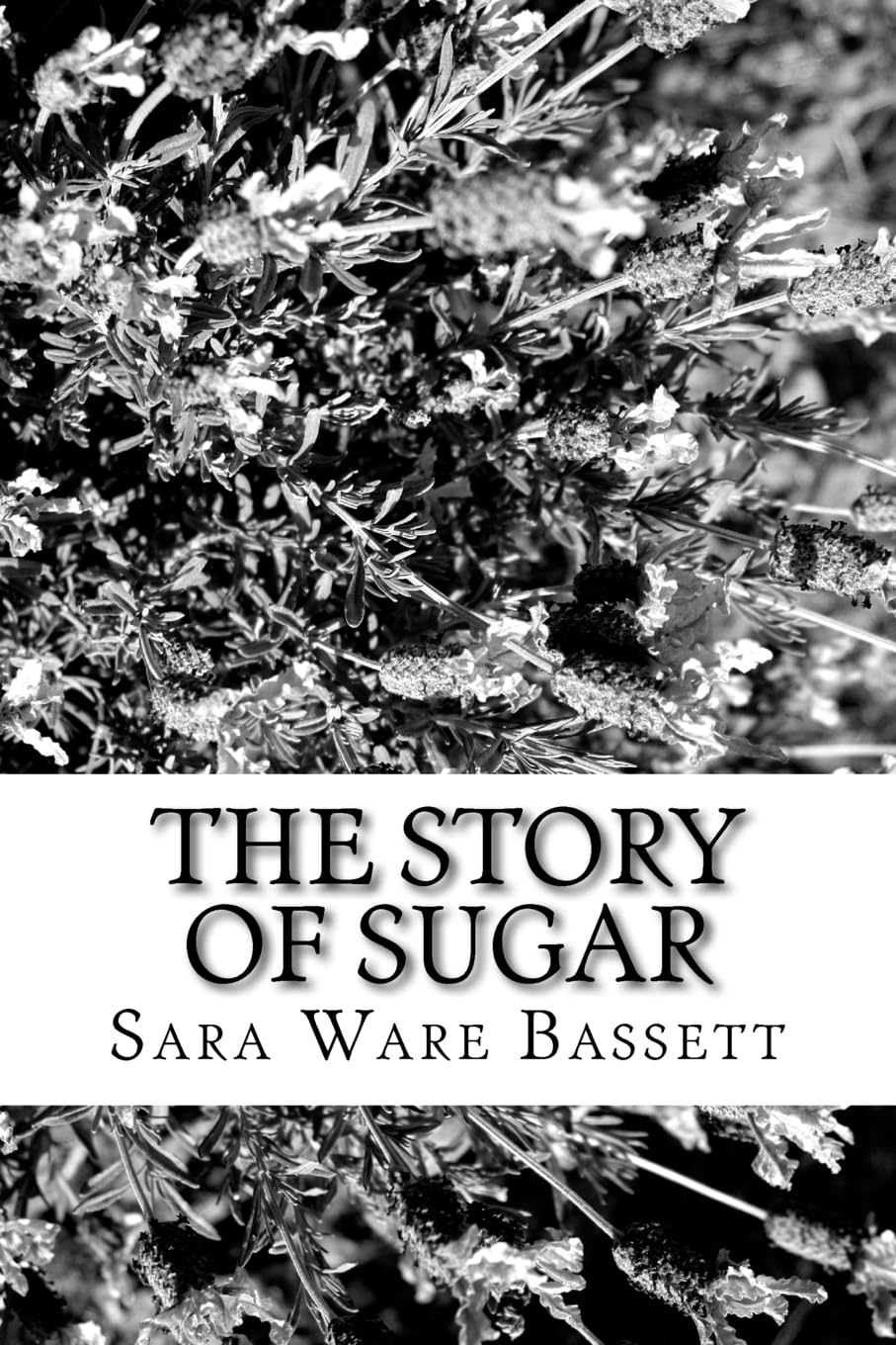 The Story of Sugar Historical Fiction