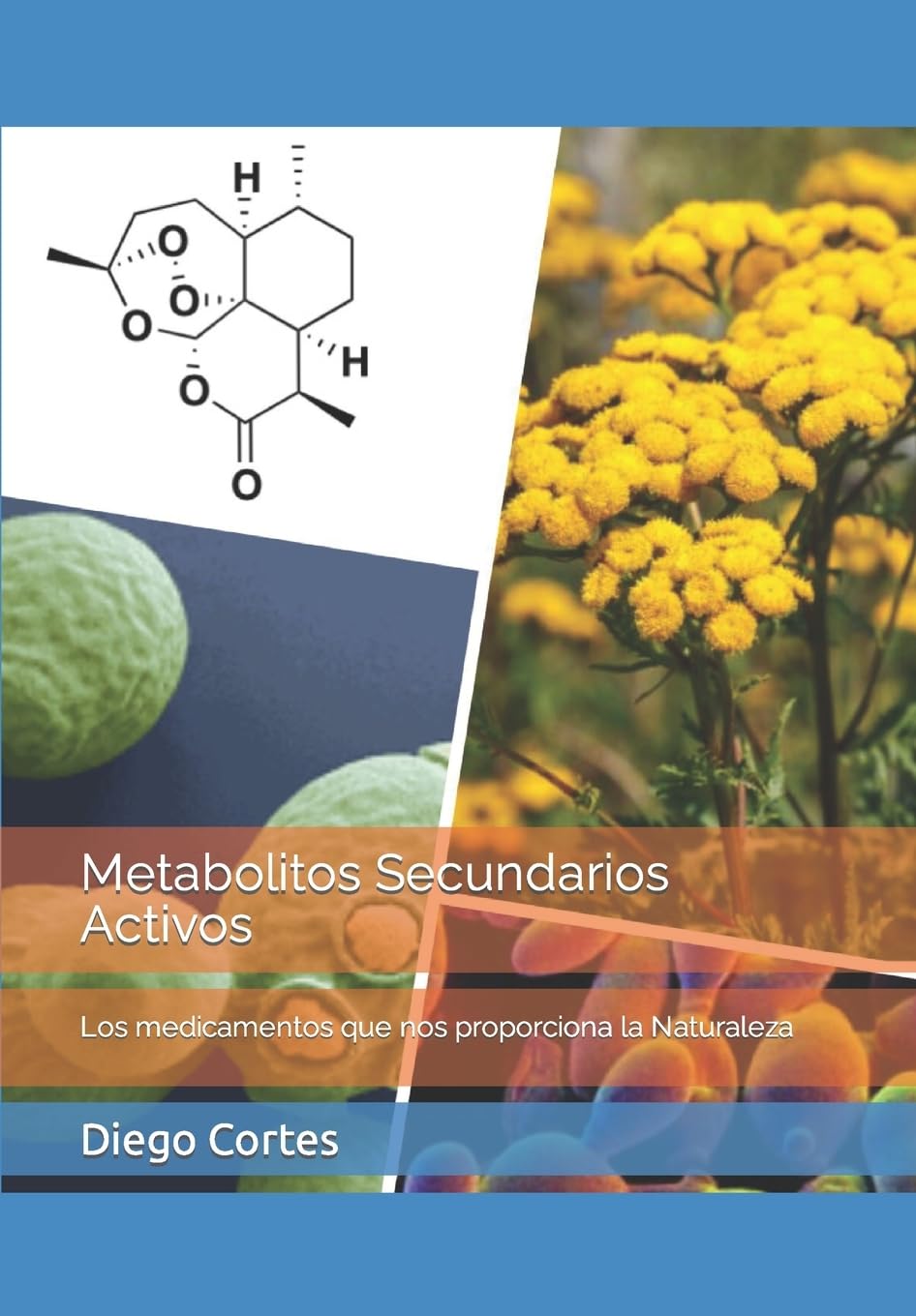Metabolitos Secundarios Activos: Los medicamentos que nos proporciona la Naturaleza book