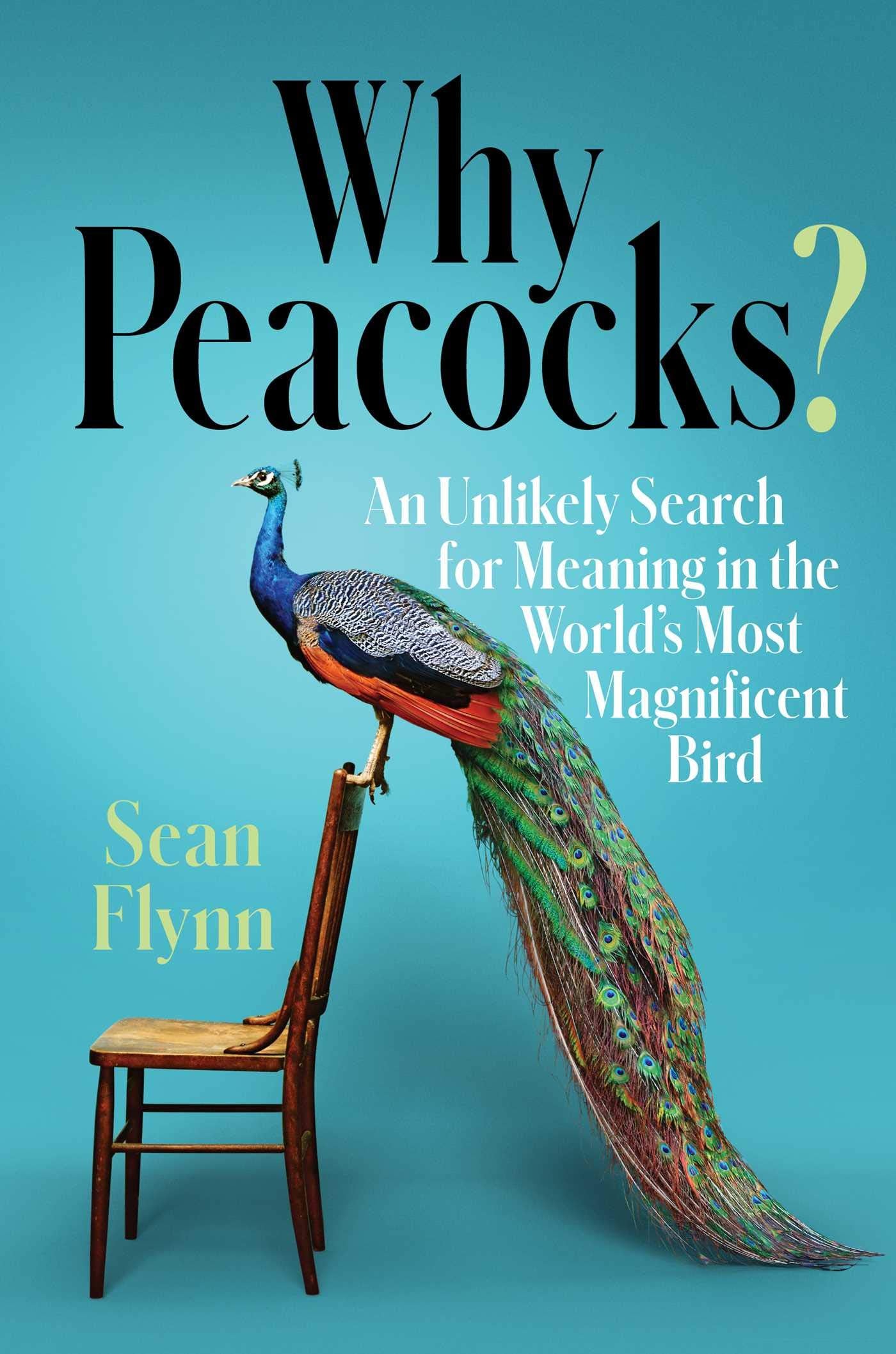 Why Peacocks?: An Unlikely Search for Meaning in the World's Most Magnificent Bird Social Sciences