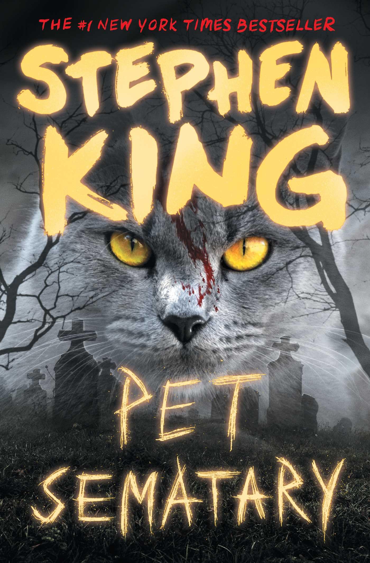 Pet Sematary Horror & Mystery