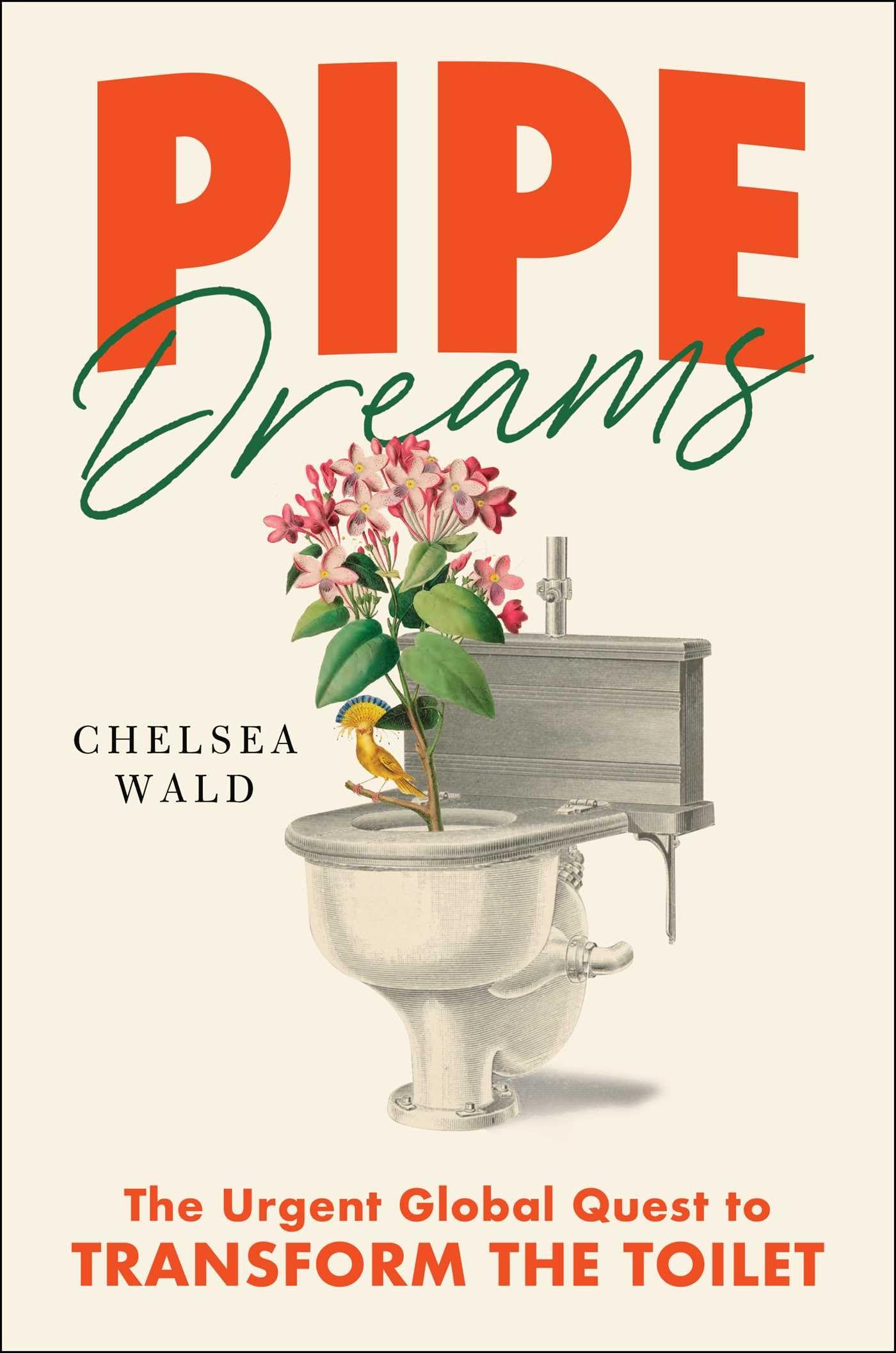 Pipe Dreams: The Urgent Global Quest to Transform the Toilet Social Sciences