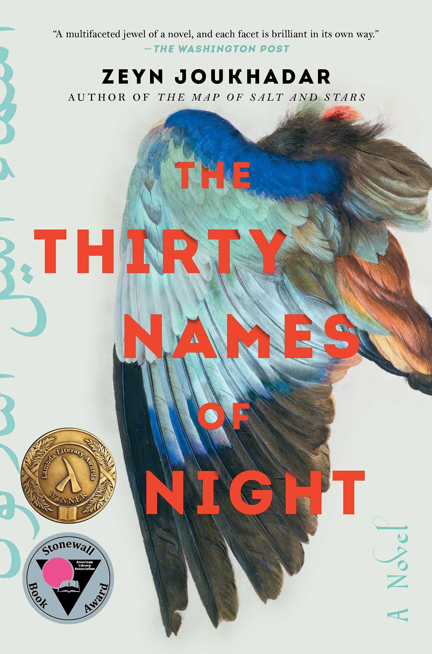 The Thirty Names of Night: A Novel LGBTQ+