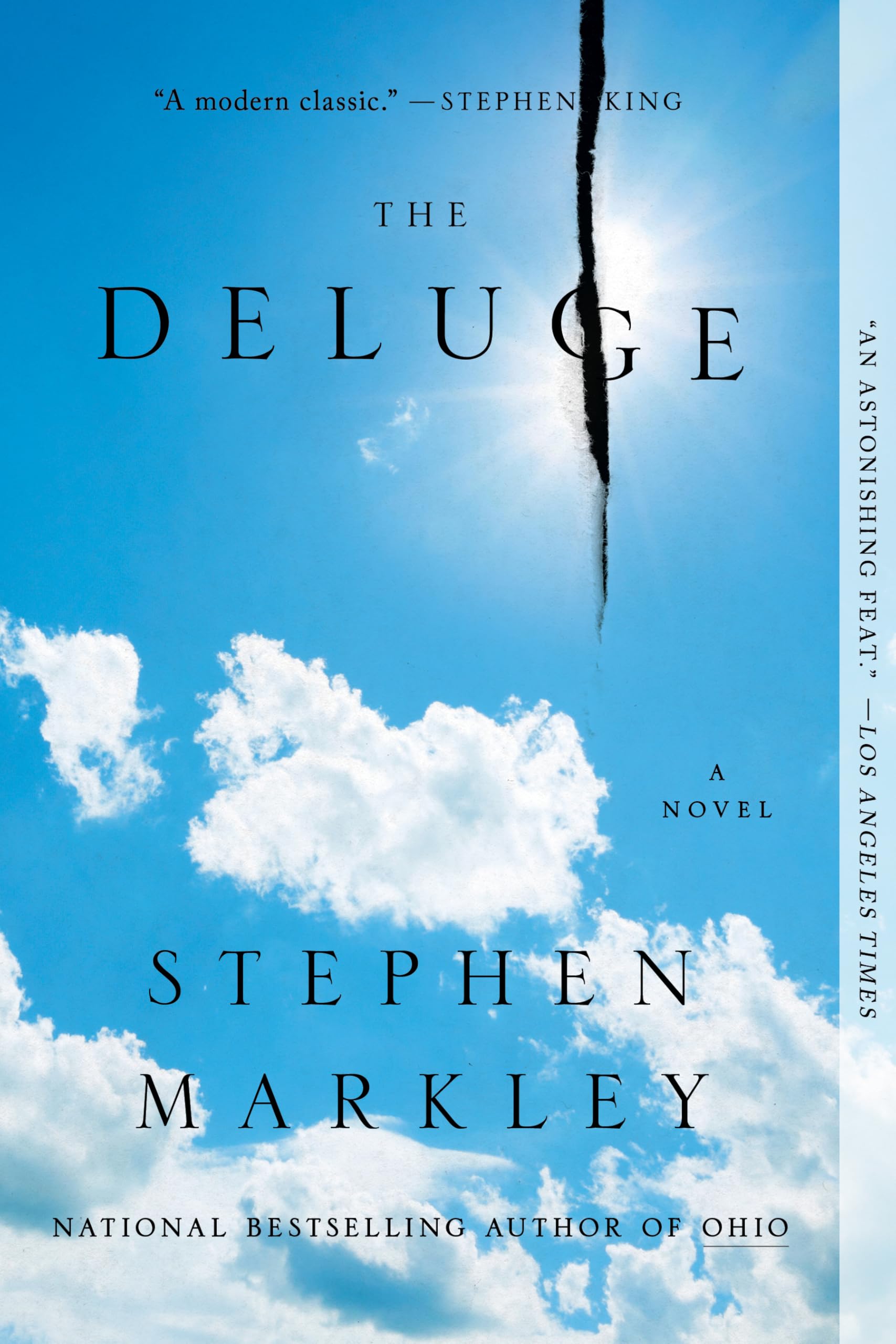 The Deluge Contemporary literature Books