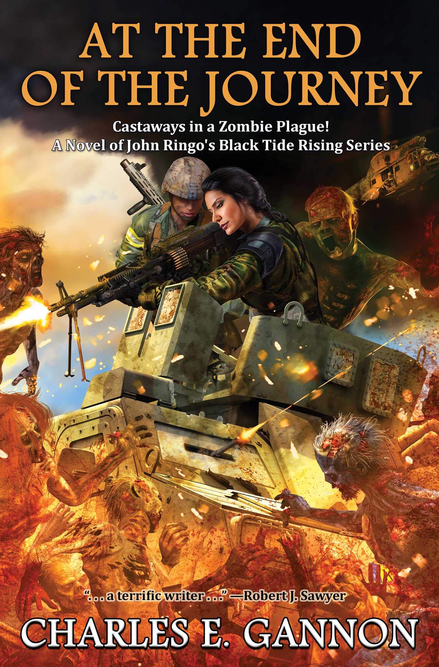 At the End of the Journey (Volume 10): Volume 9 (Black Tide Rising, Band 9) Action & Adventure
