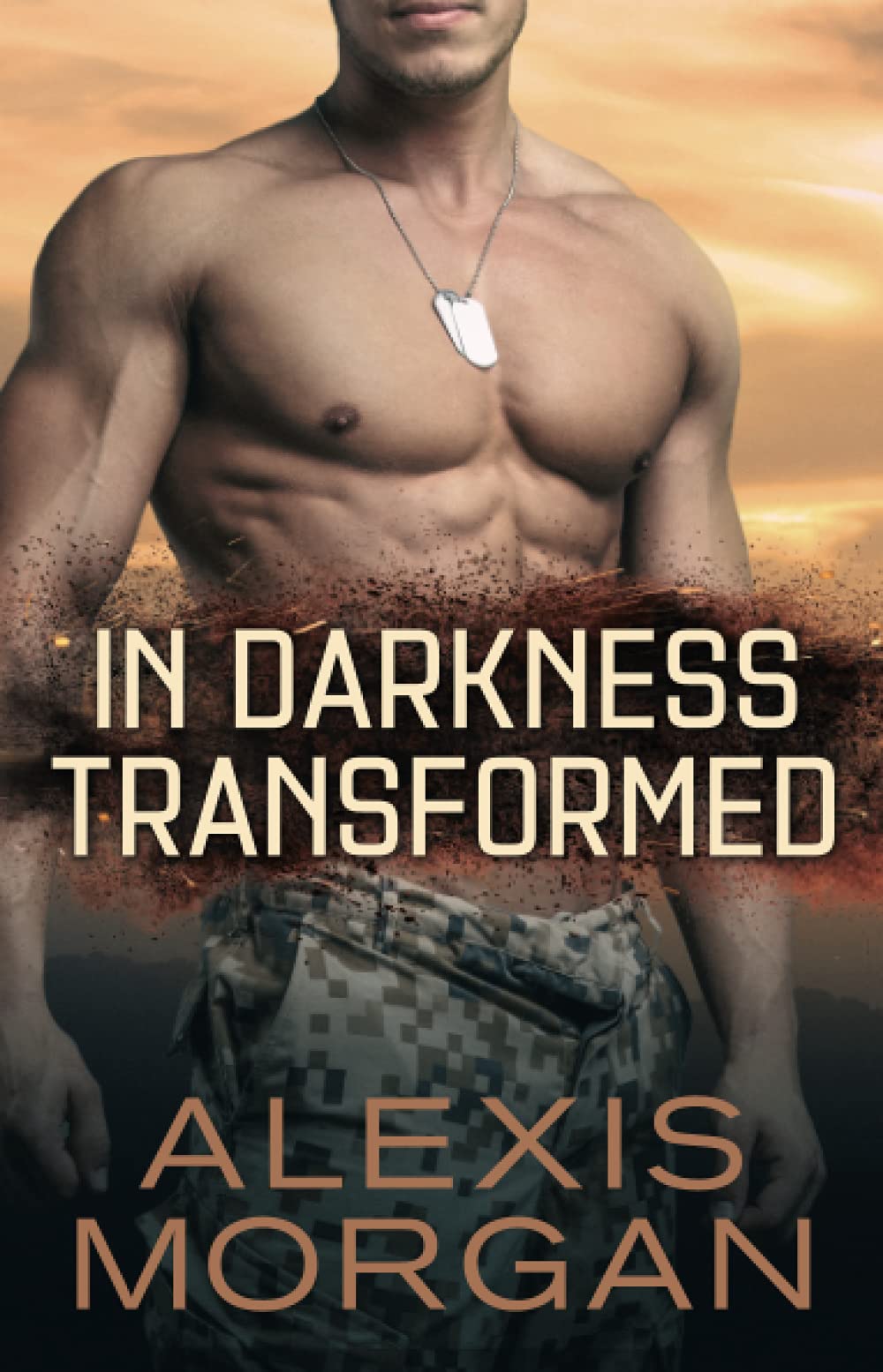 In Darkness Transformed: Volume 1 (Paladin Strike Team, The, Band 1) Action & Adventure