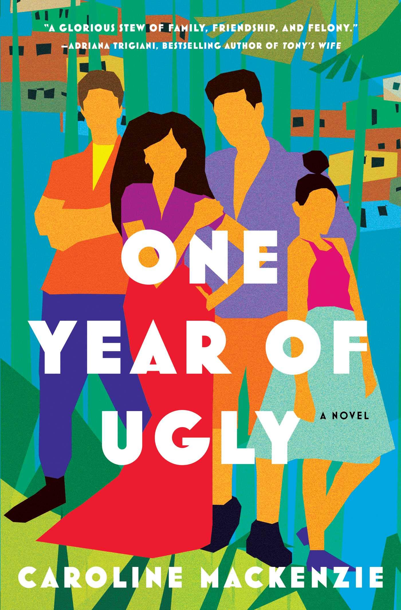 One Year of Ugly: A Novel Humour & Satire