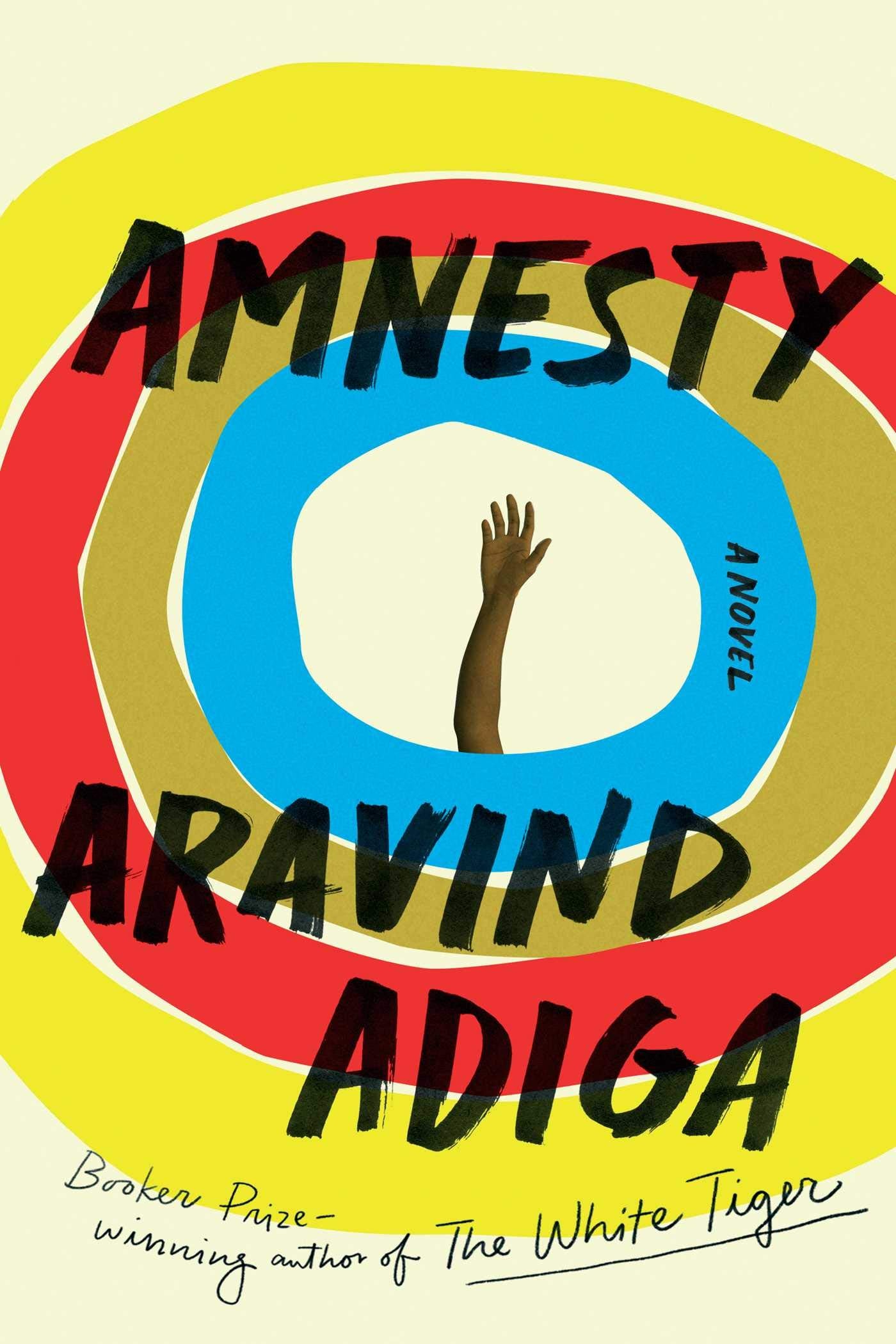 Amnesty: A Novel Contemporary literature Books