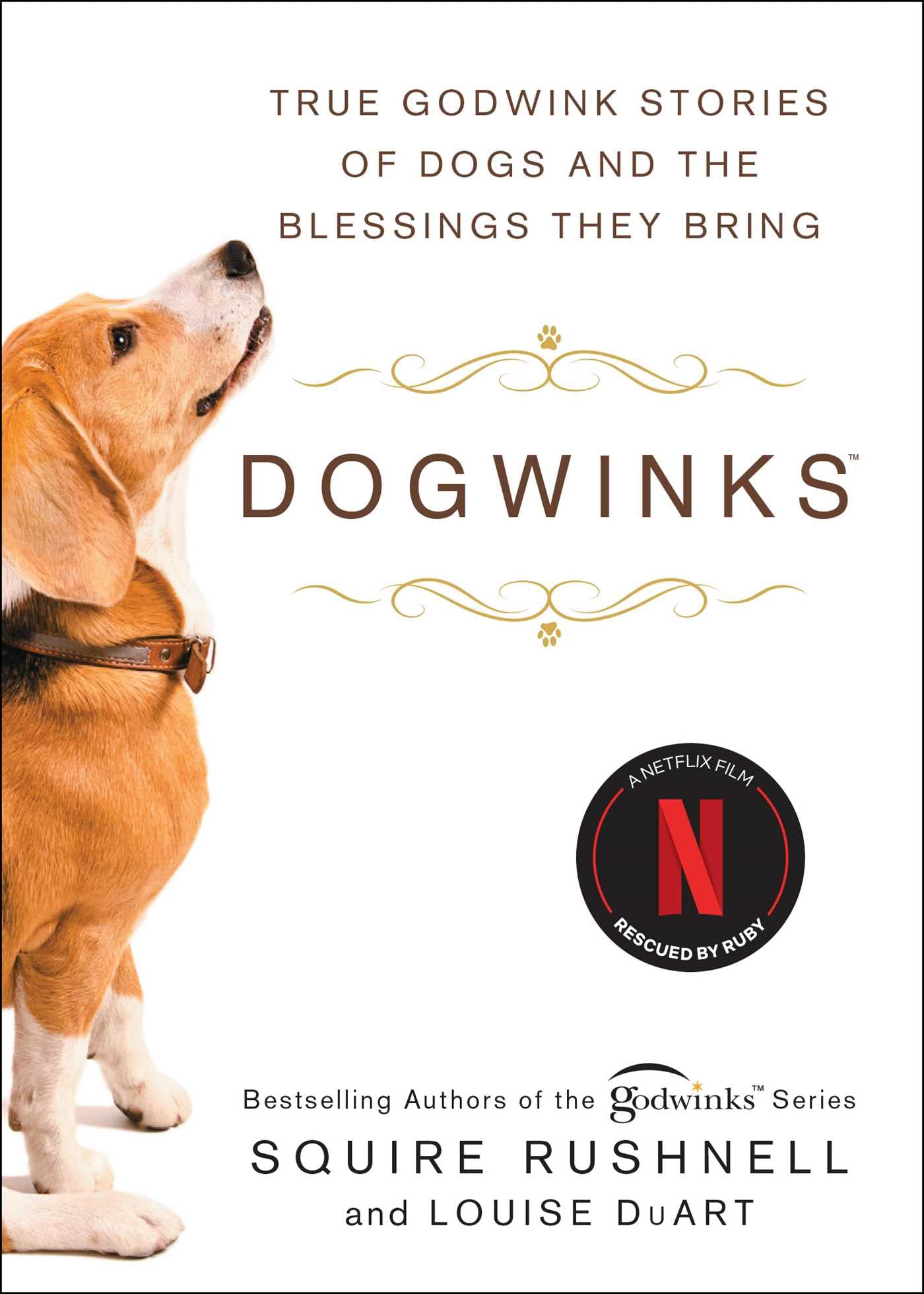 Dogwinks: True Godwink Stories of Dogs and the Blessings They Bring (The Godwink Series, Band 6) Pets