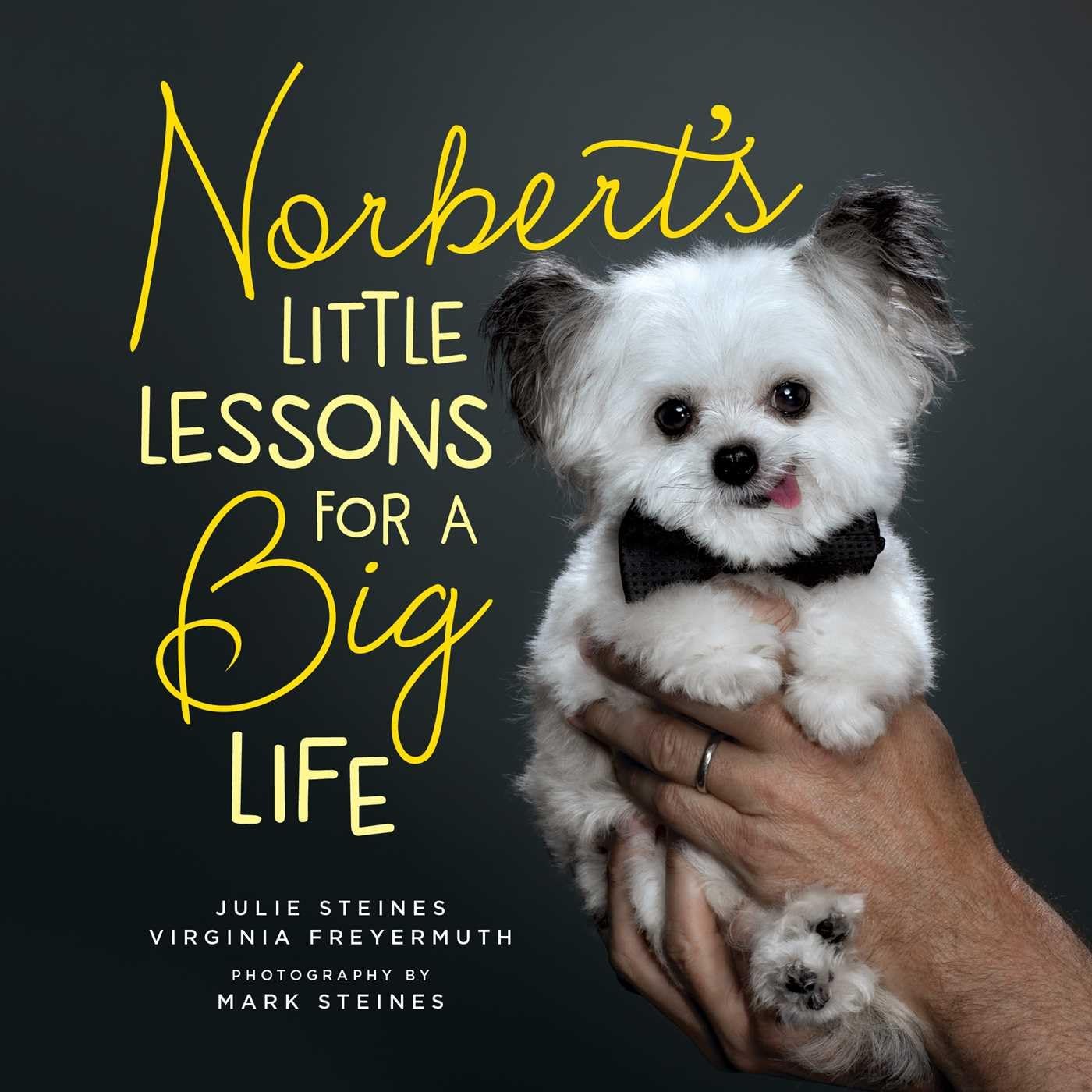 Norbert's Little Lessons for a Big Life Pets