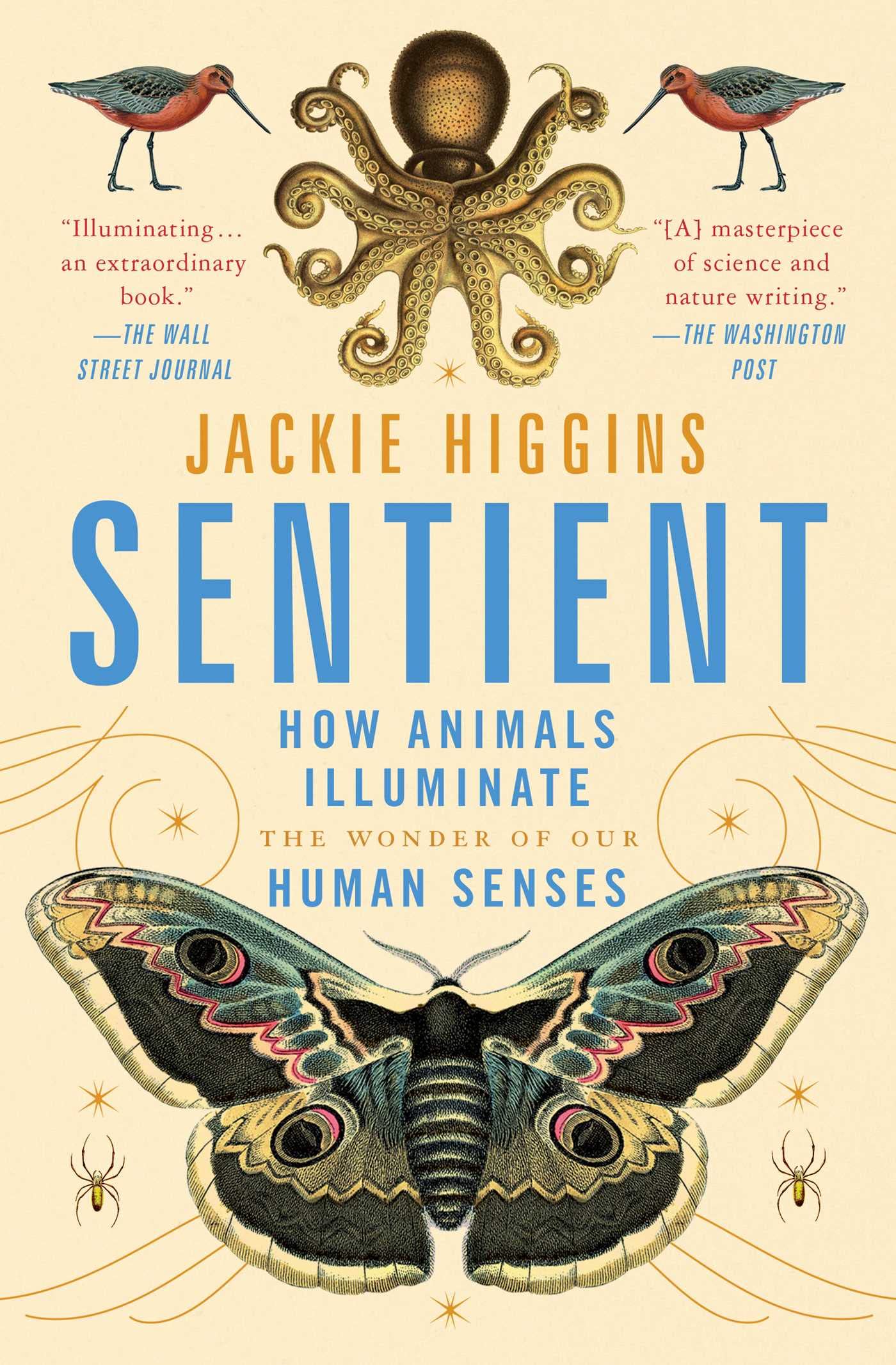 Sentient: How Animals Illuminate the Wonder of Our Human Senses Mathematics