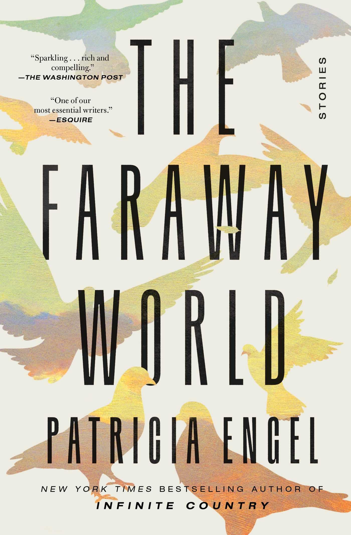The Faraway World: Stories Essays & Short Stories