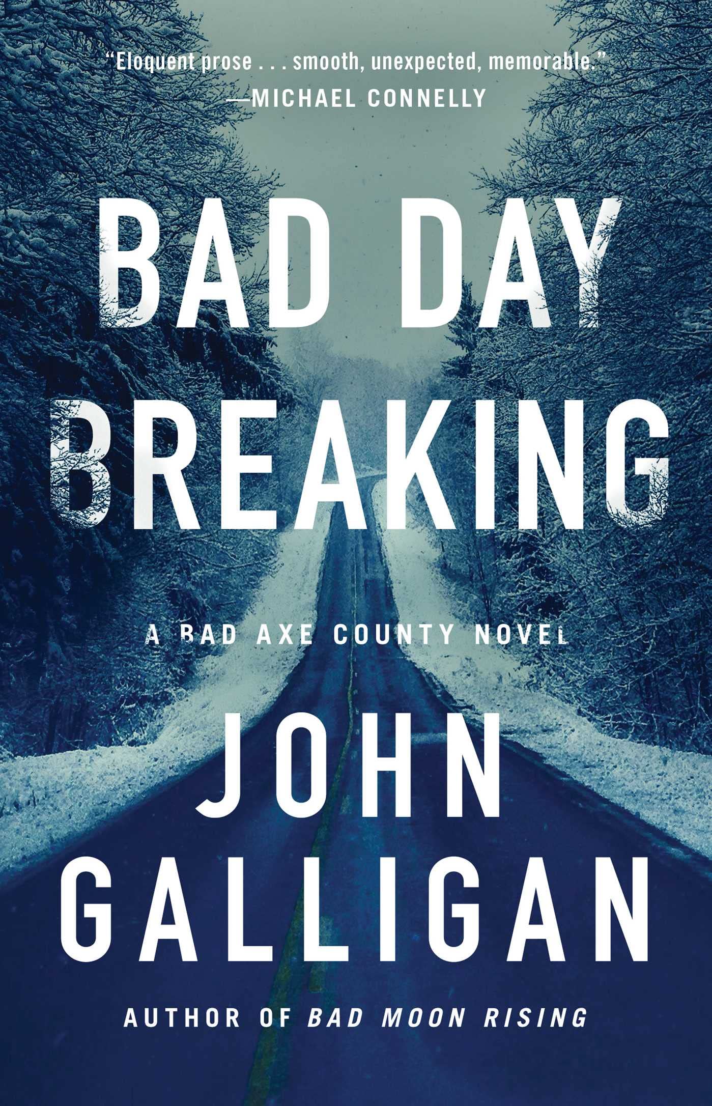 Bad Day Breaking: A Novel (A Bad Axe County Novel, Band 4) Contemporary literature