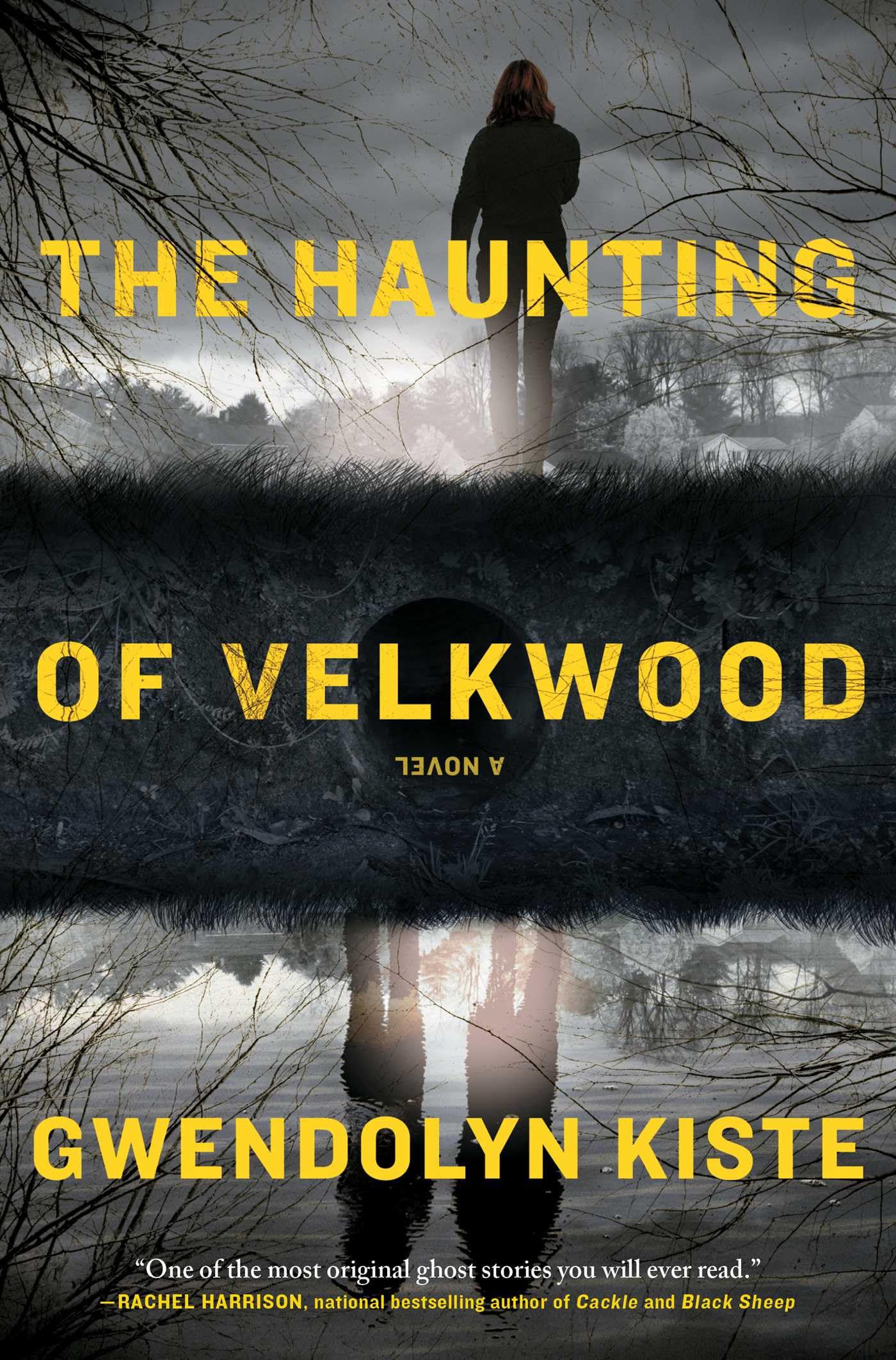 The Haunting of Velkwood Horror & Mystery