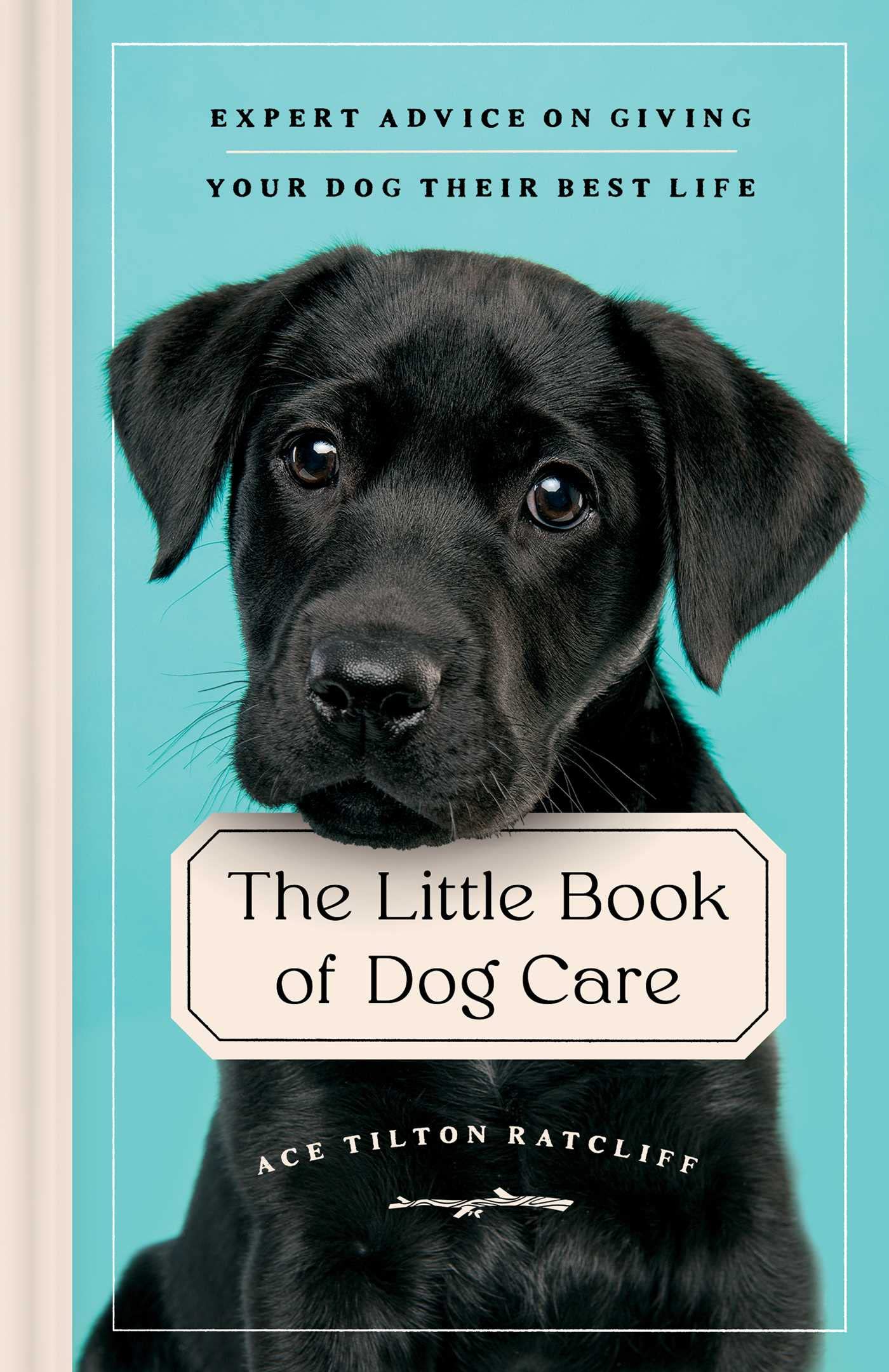 The Little Book of Dog Care Parents & Children