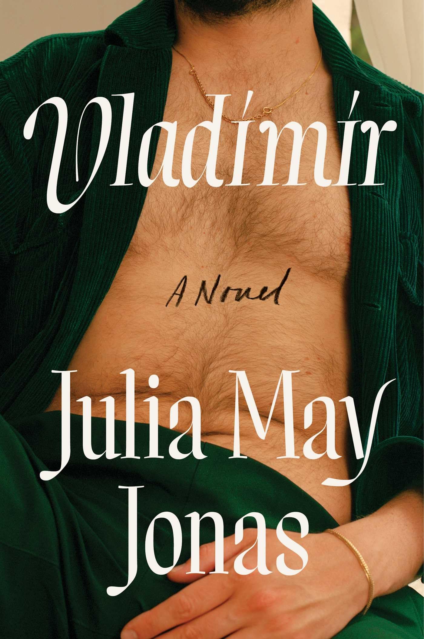 Product Image: Vladimir: A Novel