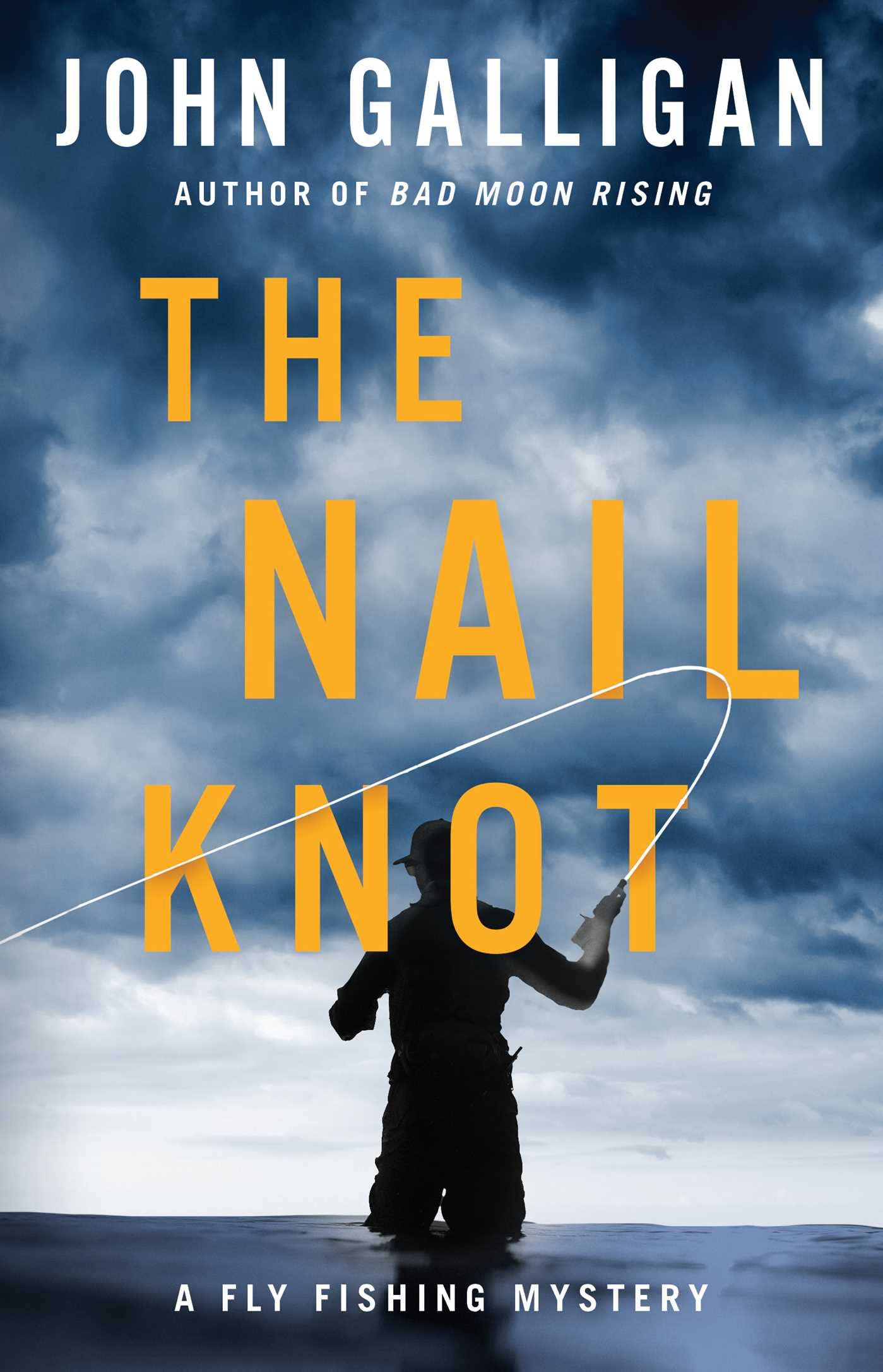The Nail Knot: Volume 1 (A Fly Fishing Mystery, Band 1) Contemporary literature