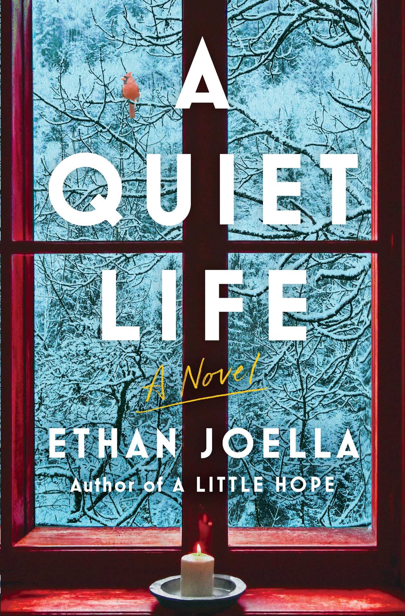 A Quiet Life: A Novel Contemporary literature