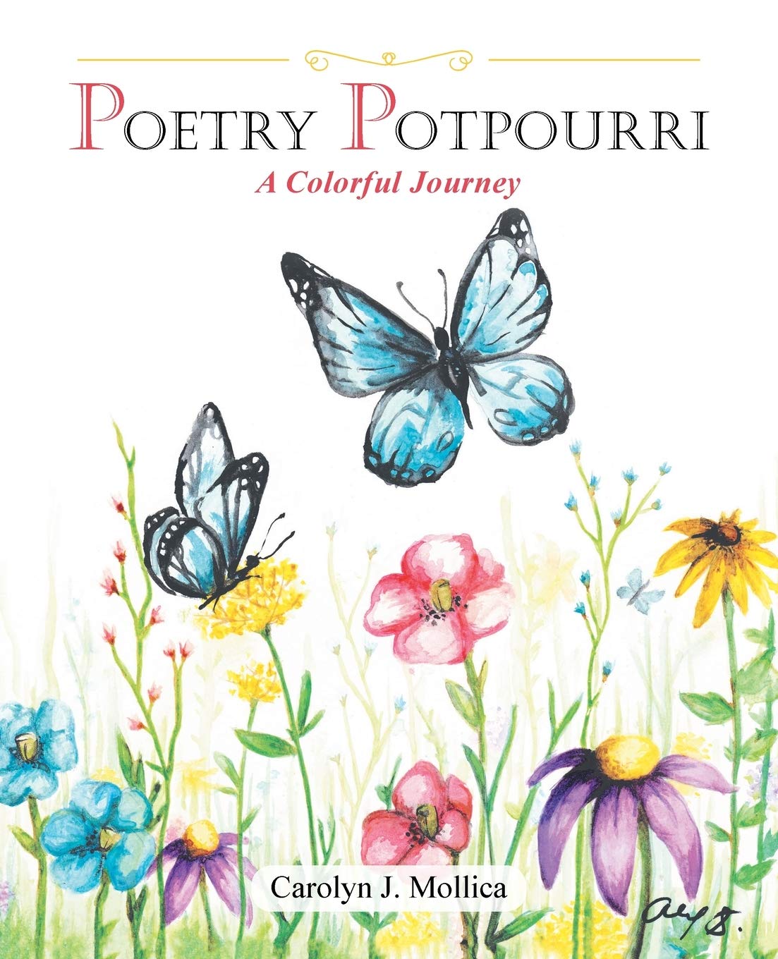 Poetry Potpourri: A Colorful Journey book