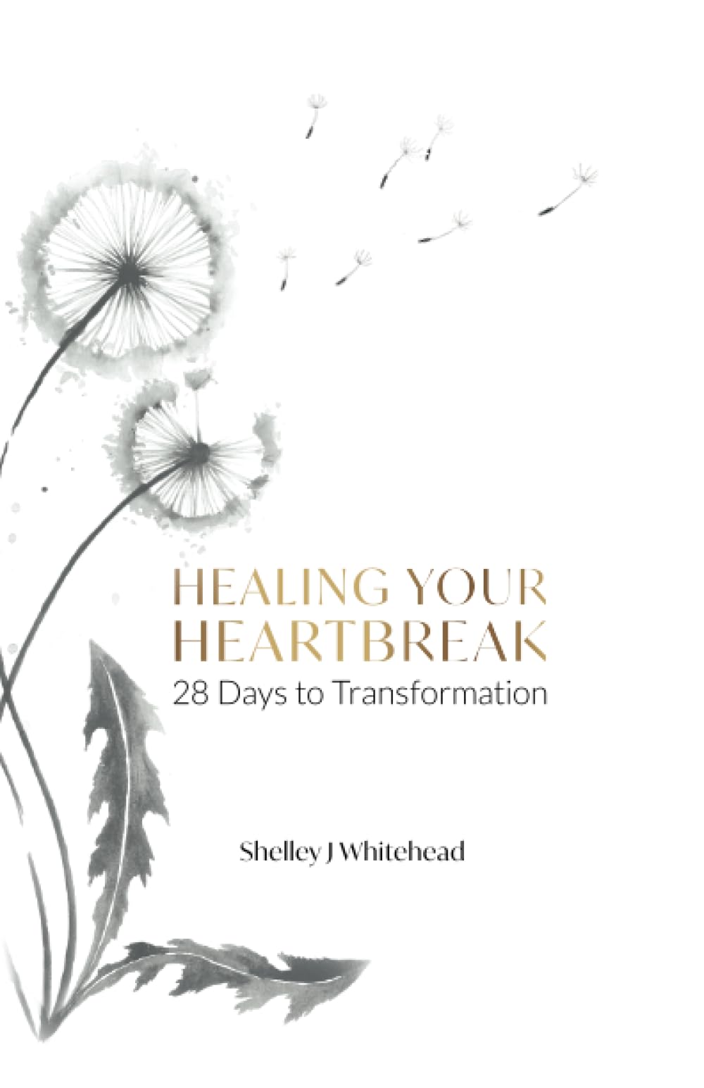 Healing Your Heartbreak: 28 Days to Transformation Health, Nutrition & Fitness