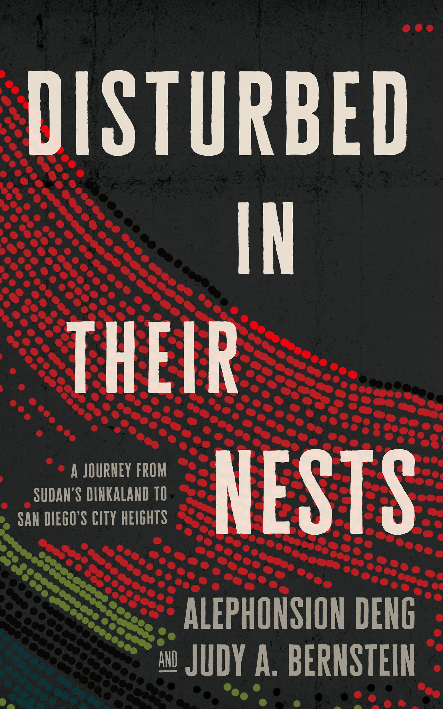 Disturbed in Their Nests: A Journey from Sudan's Dinkaland to San Diego's City Heights Social Sciences