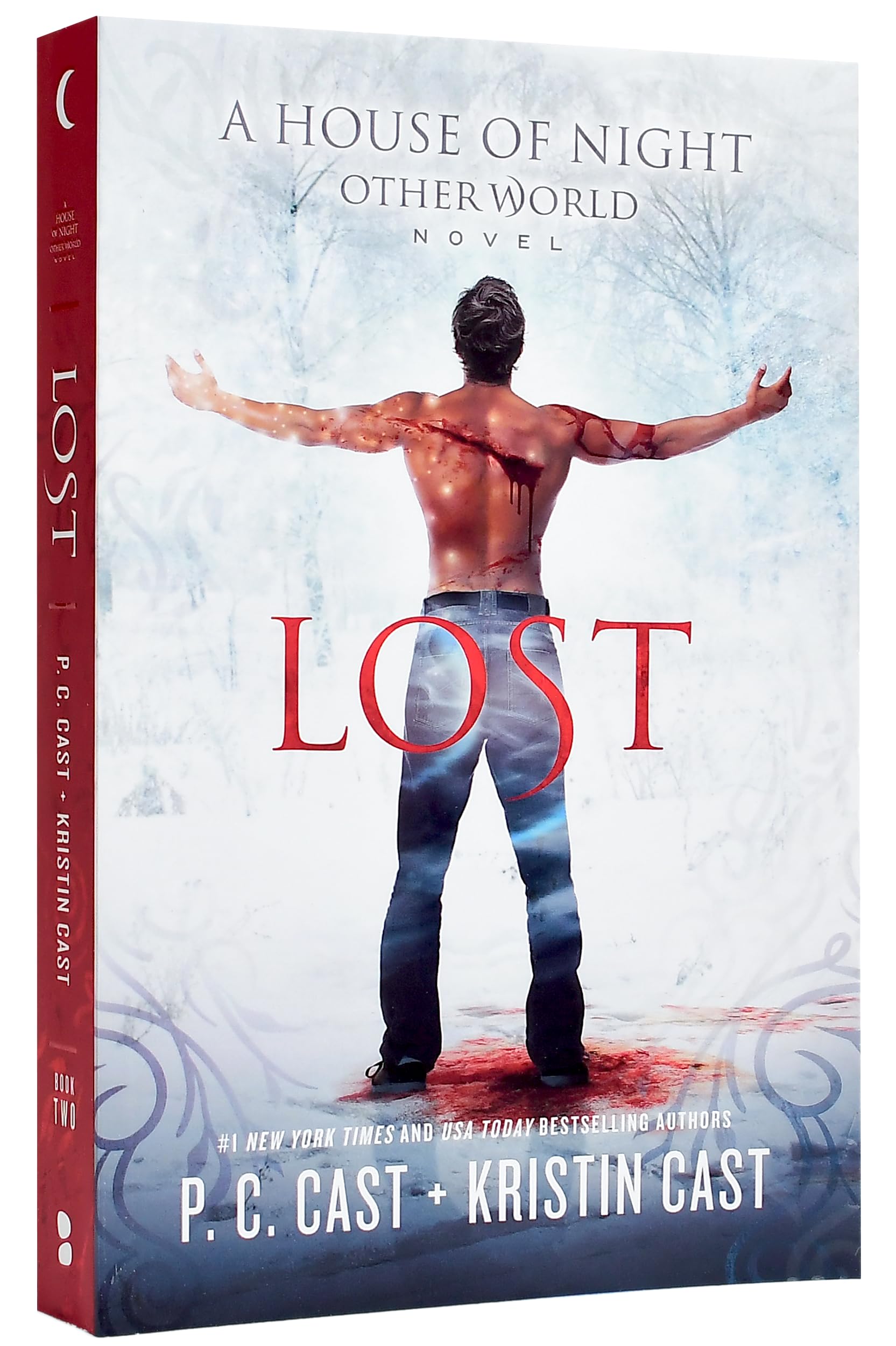 Lost (House of Night Otherworld, Band 2) Romance