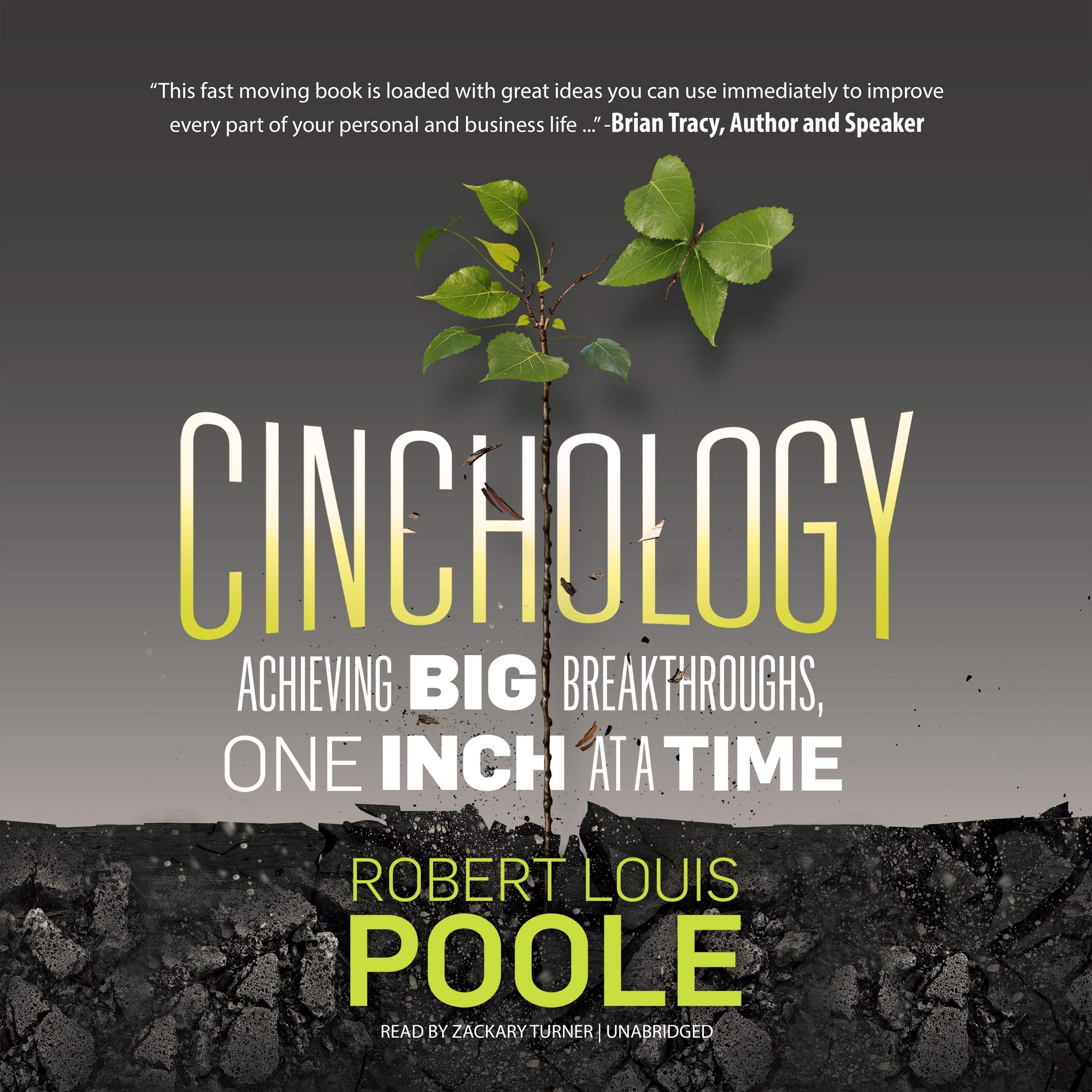 Cinchology: Achieving Big Breakthroughs, One Inch at a Time Business, Finance & Career